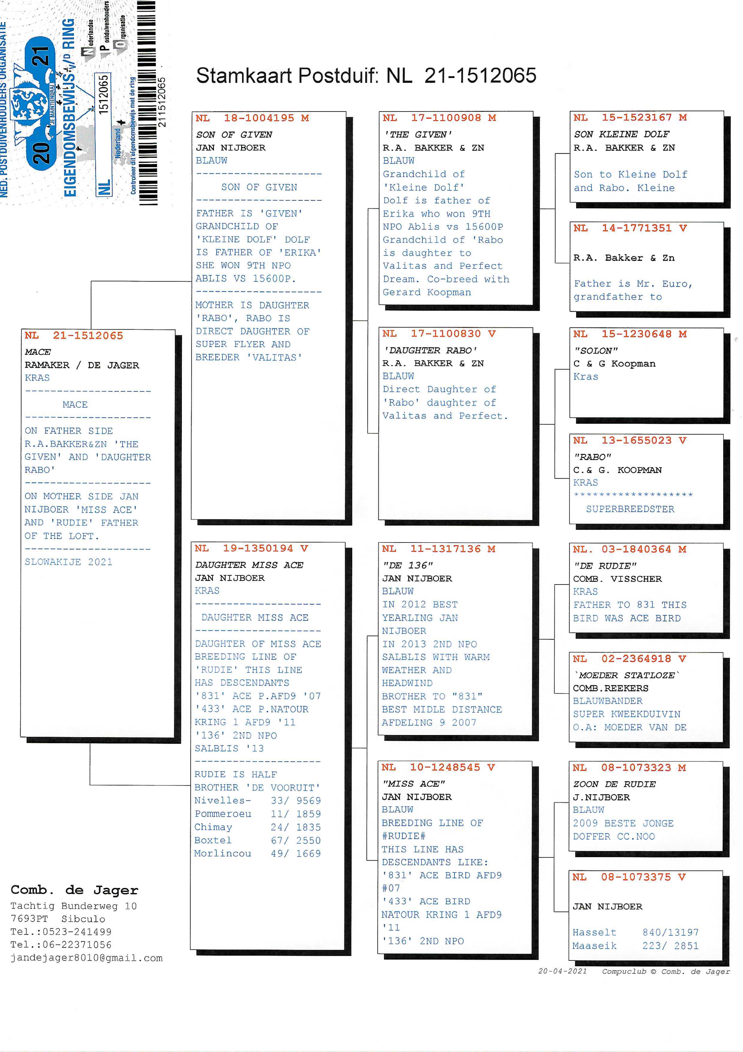 Pigeon pedigree image