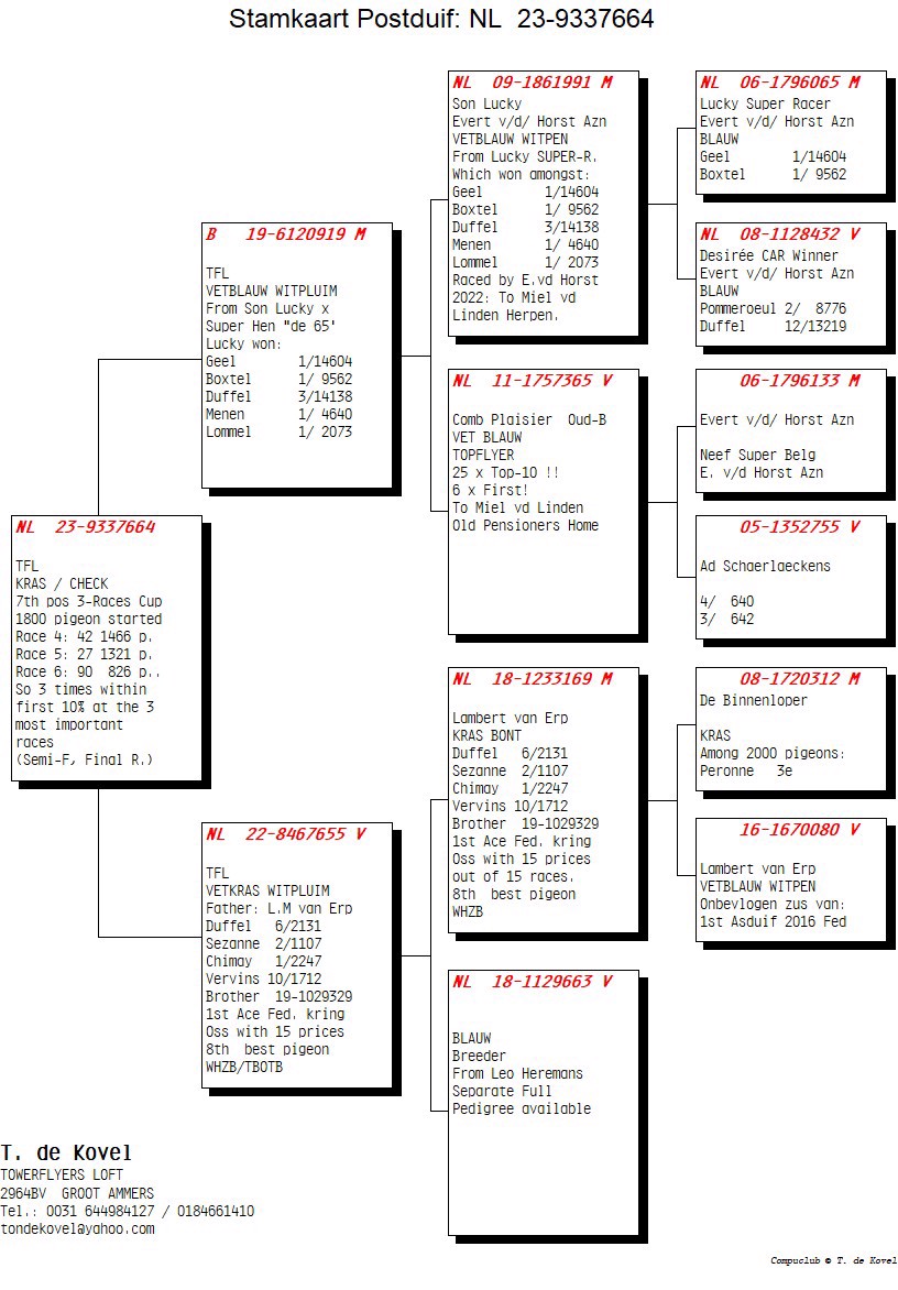 Pigeon pedigree image
