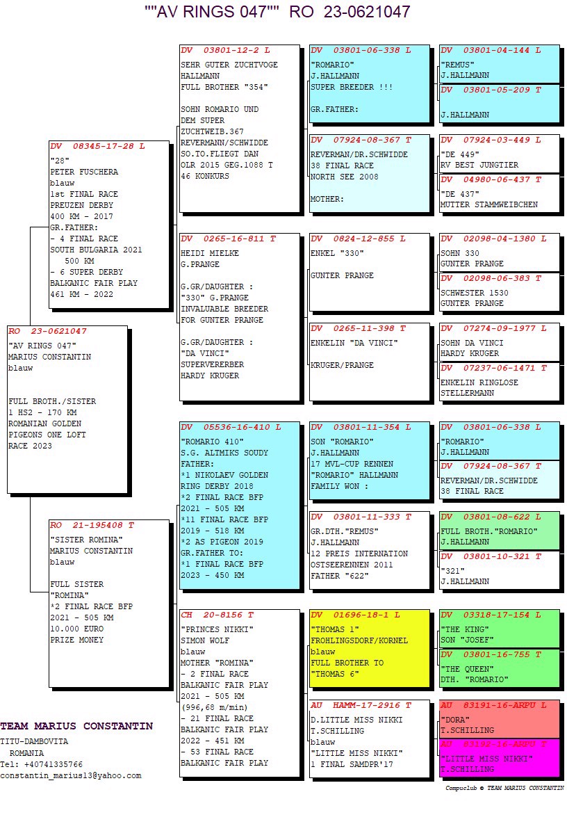 Pigeon pedigree image
