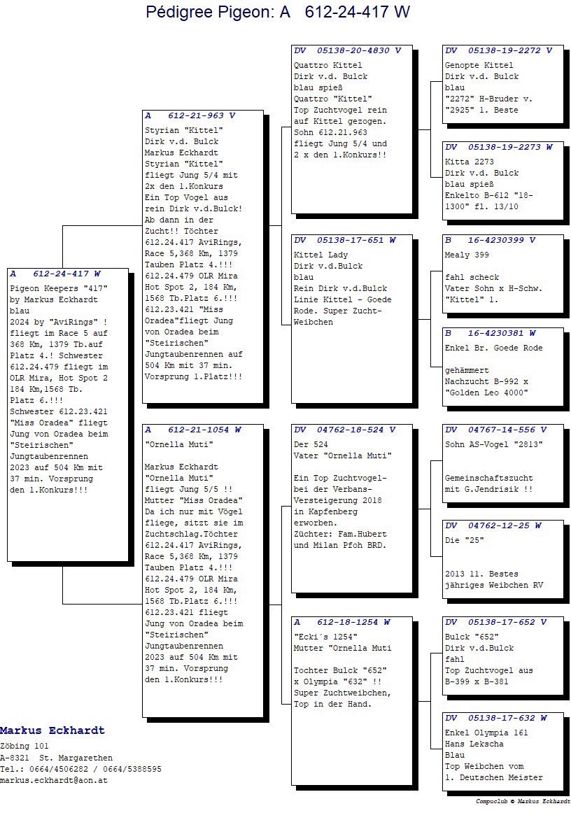 Pigeon pedigree image