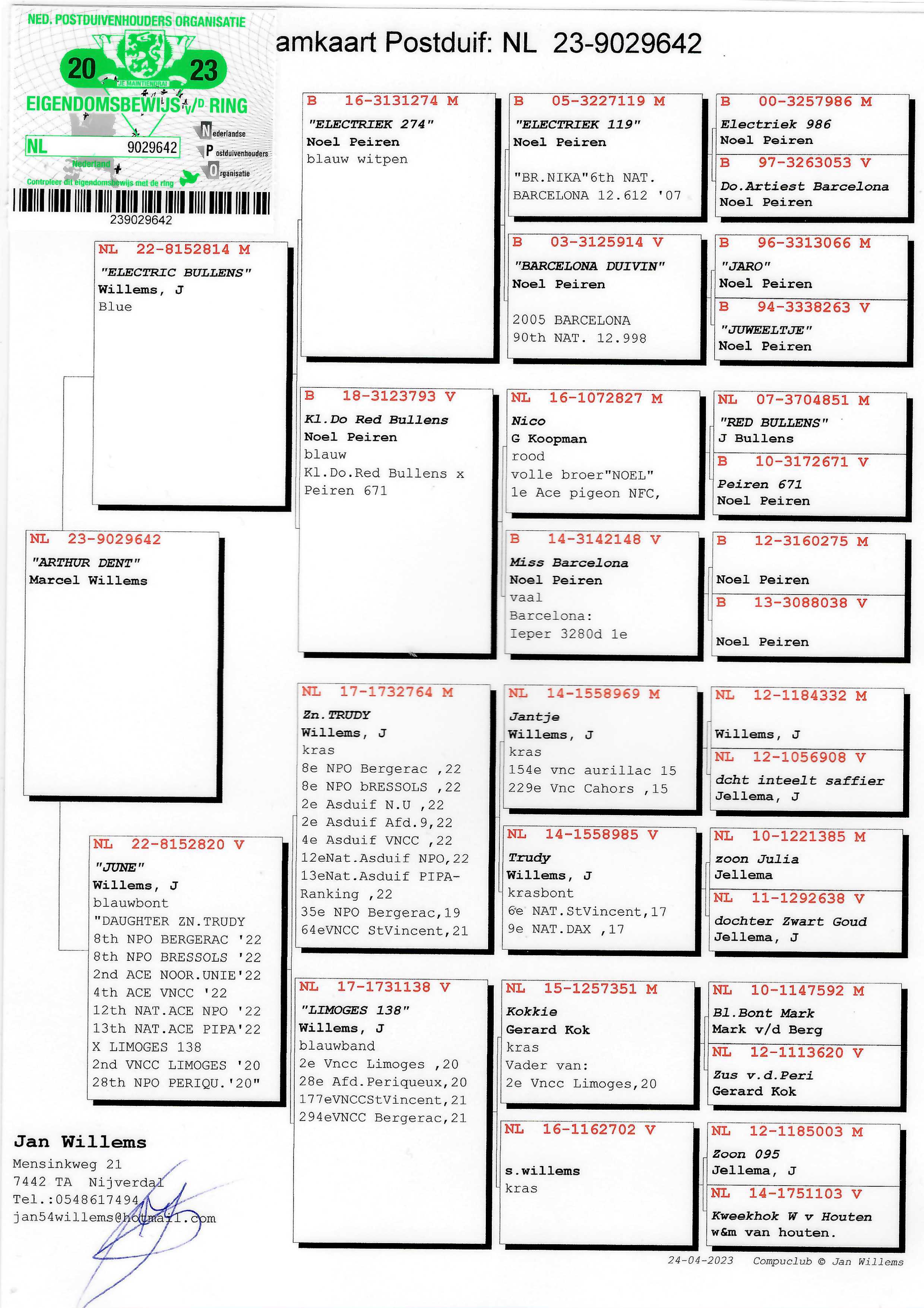 Pigeon pedigree image
