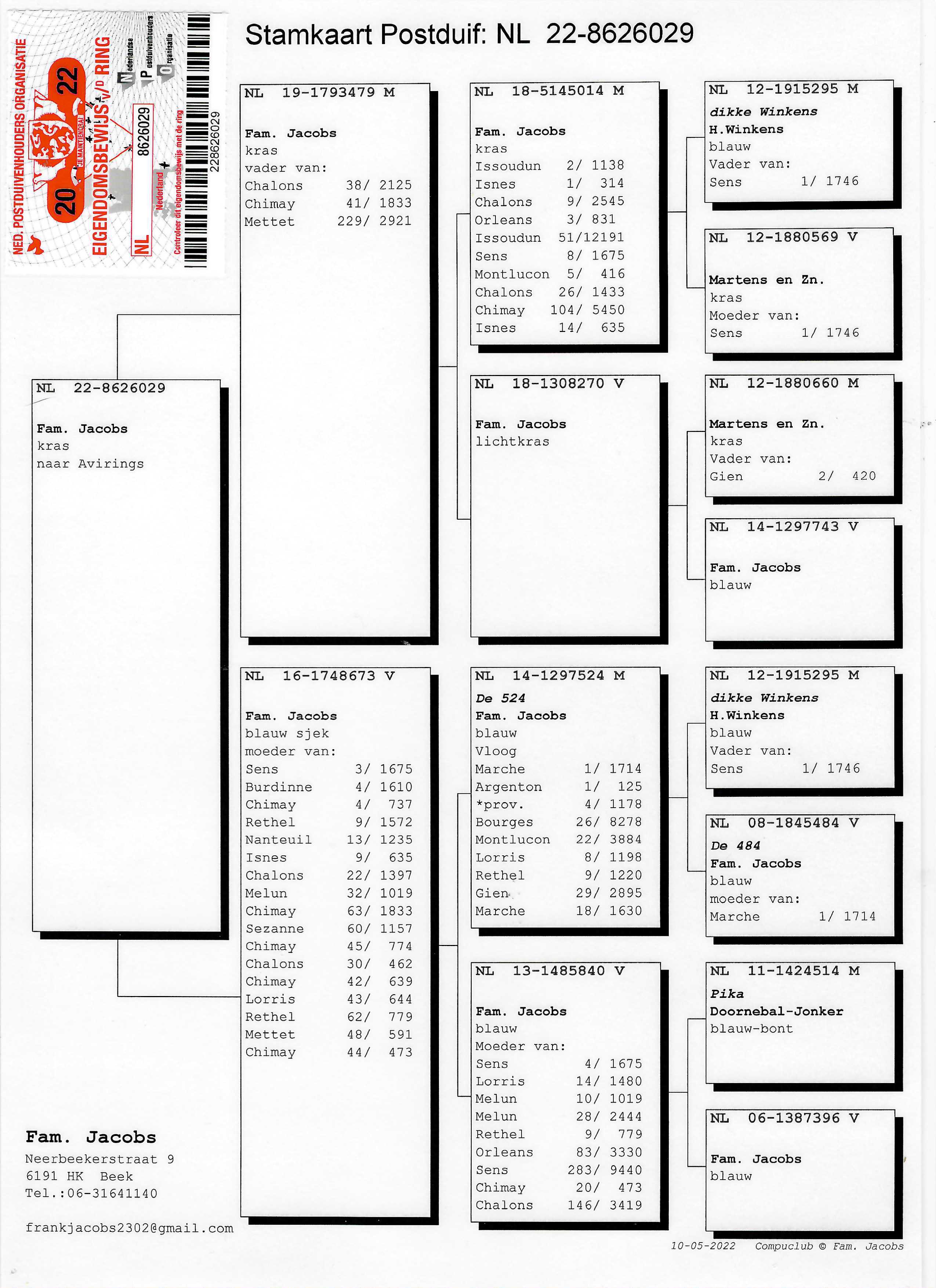 Pigeon pedigree image