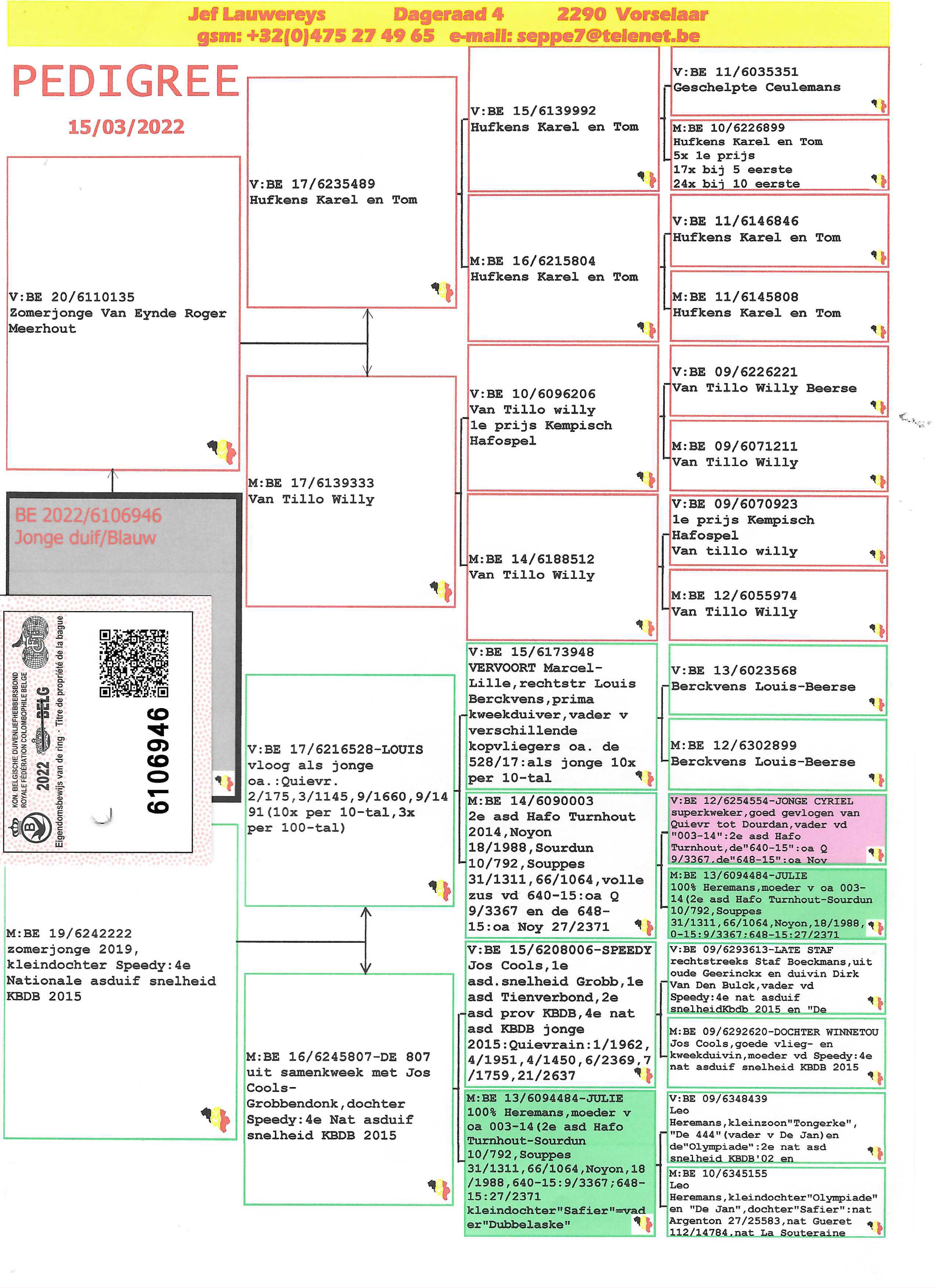 Pigeon pedigree image