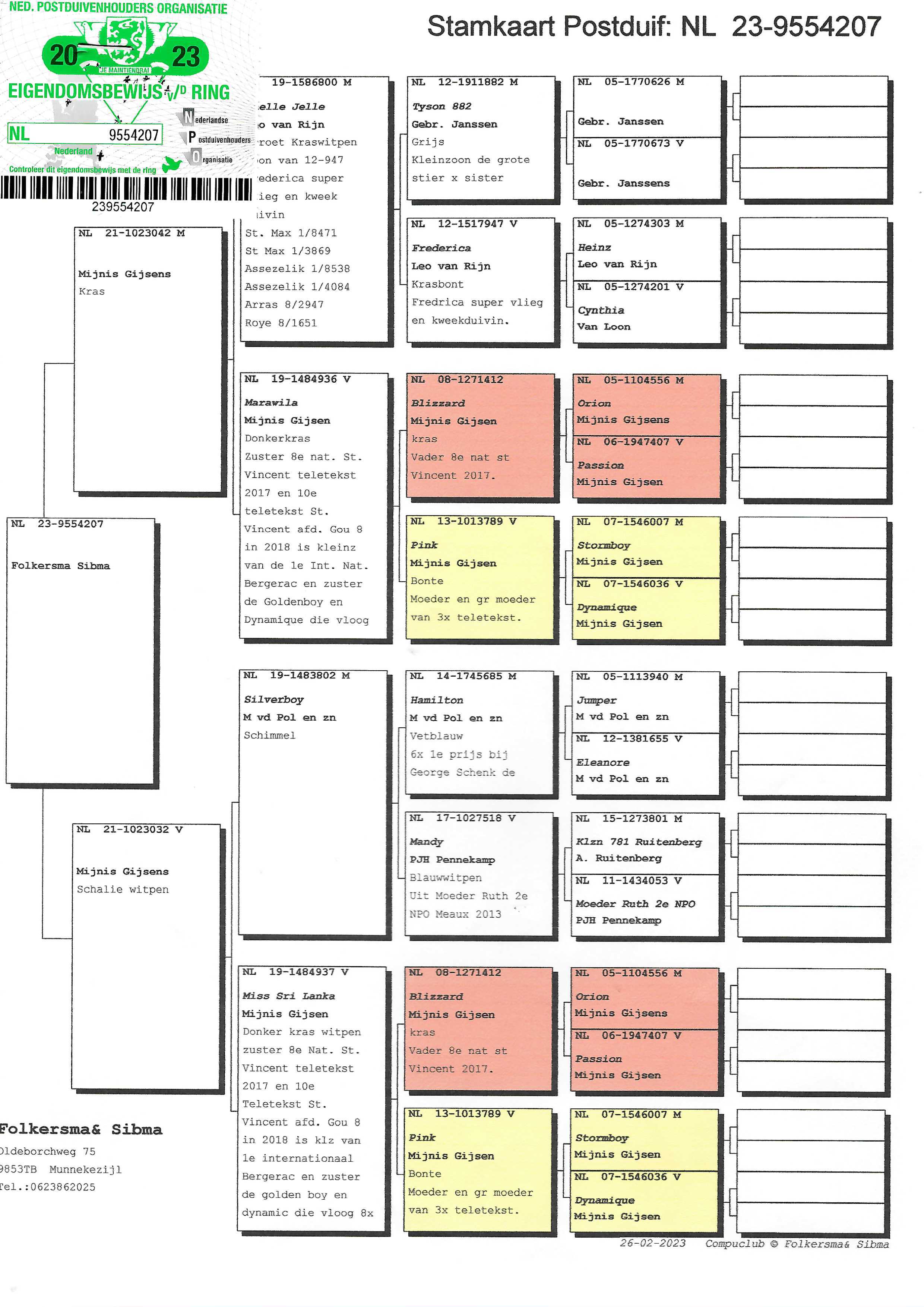 Pigeon pedigree image