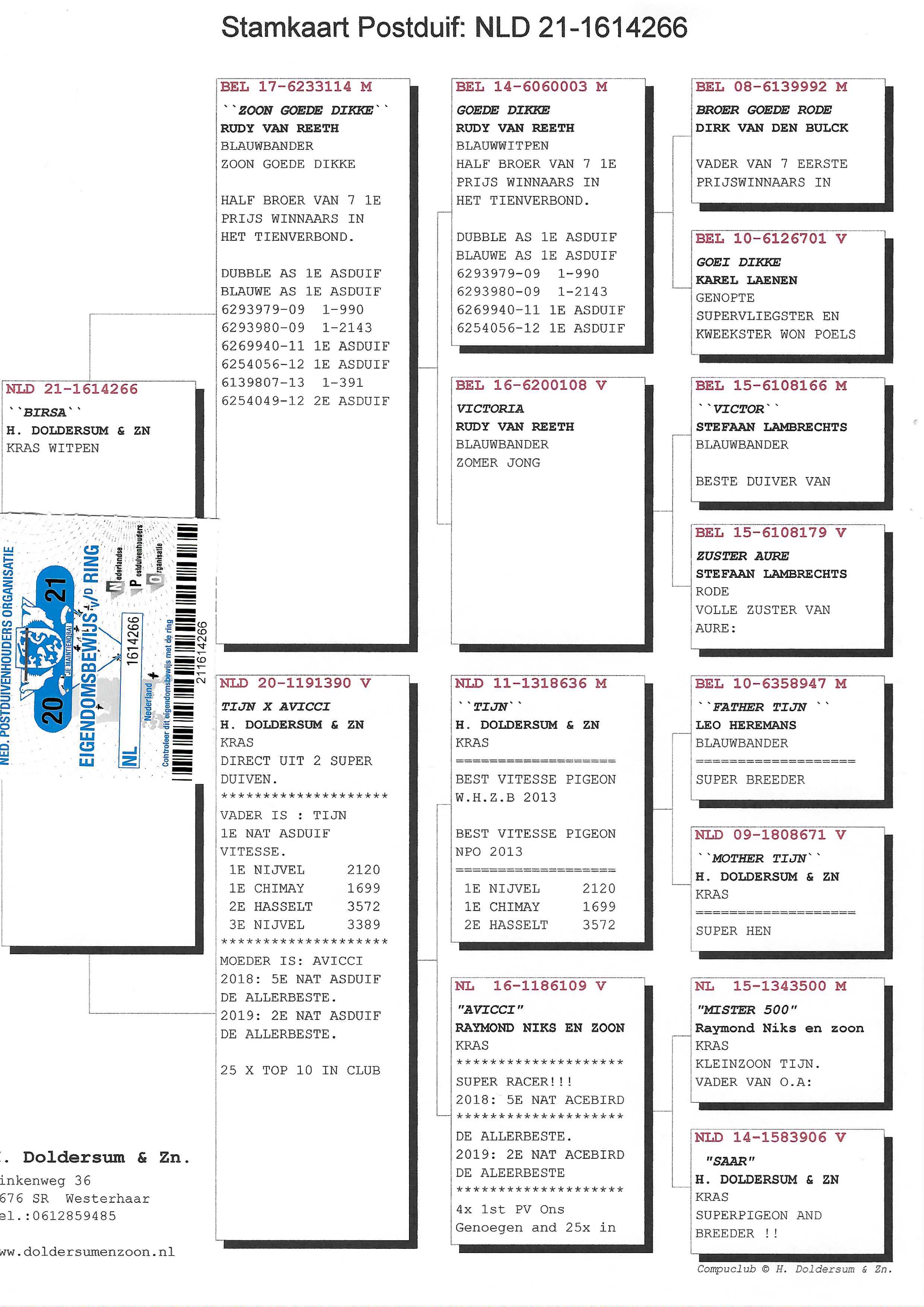 Pigeon pedigree image