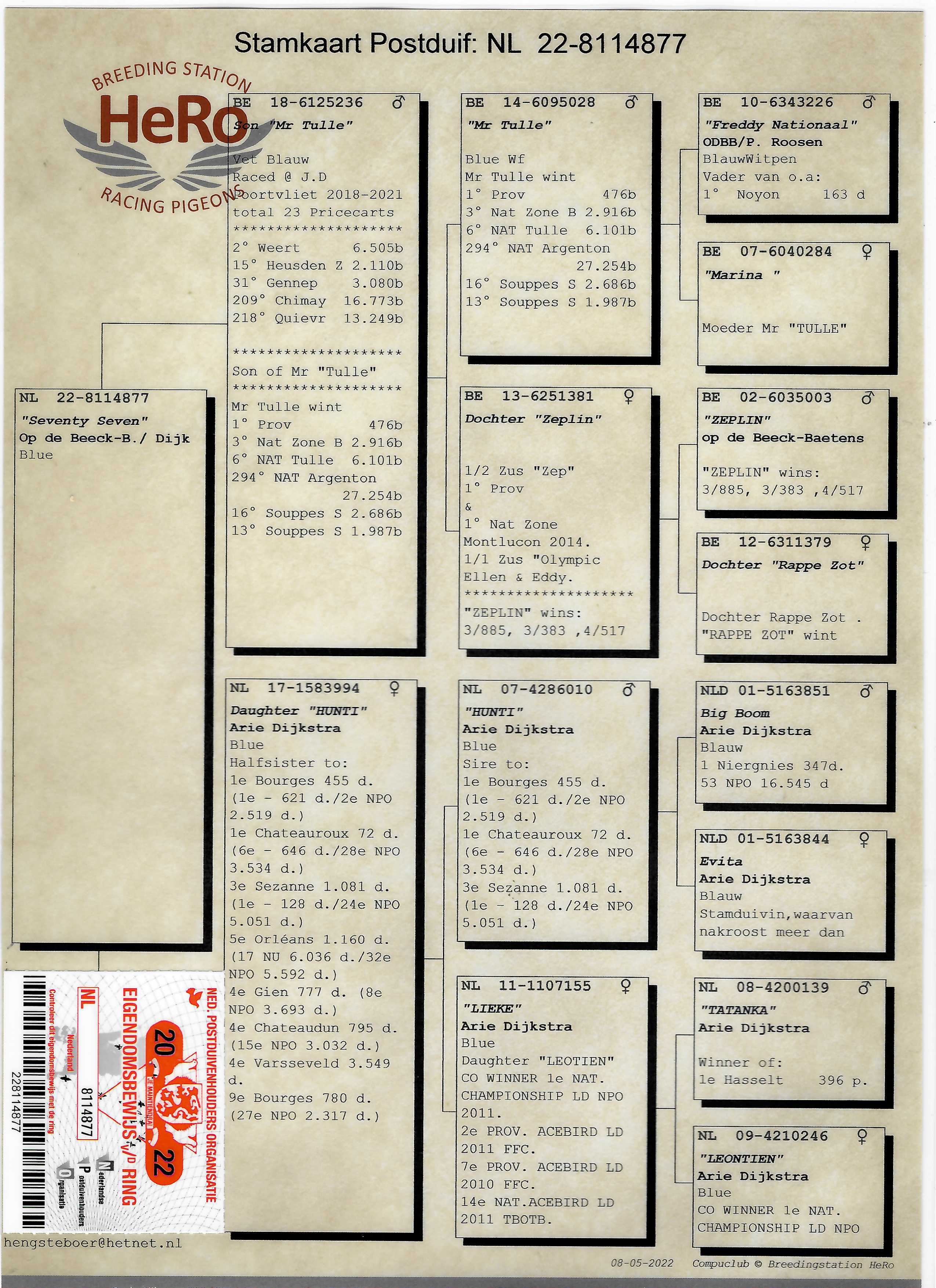 Pigeon pedigree image
