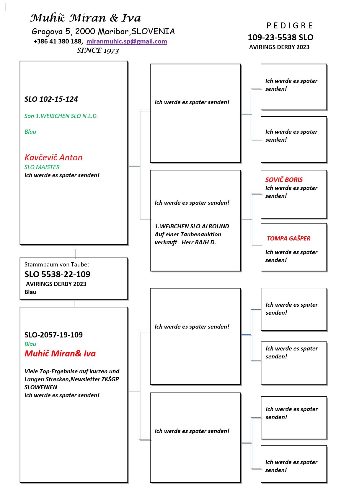 Pigeon pedigree image