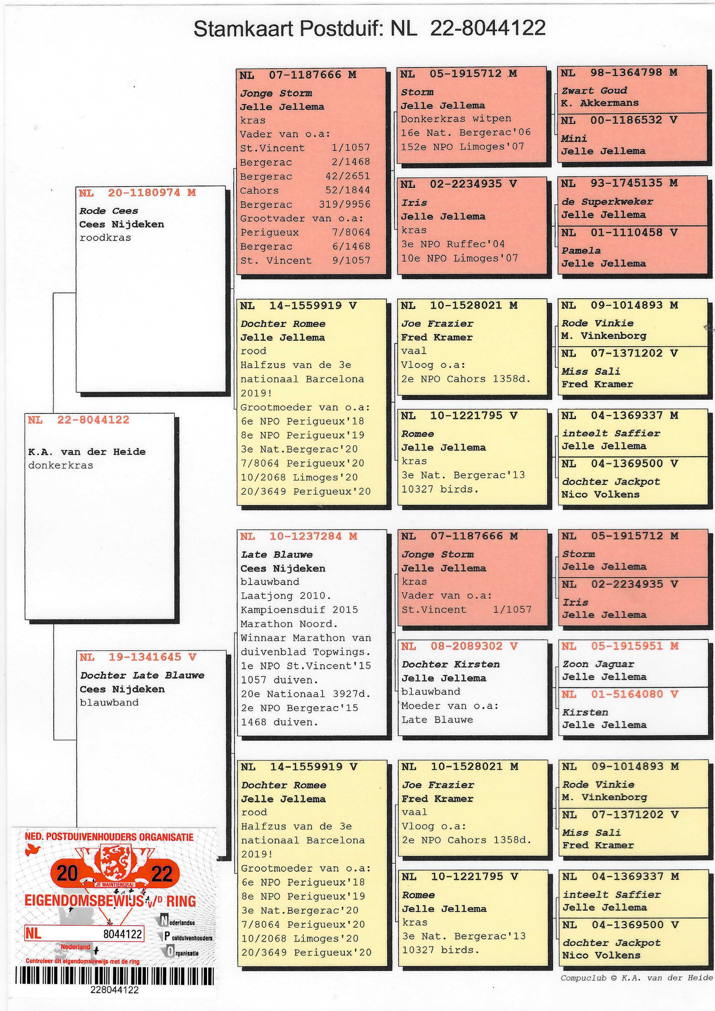 Pigeon pedigree image