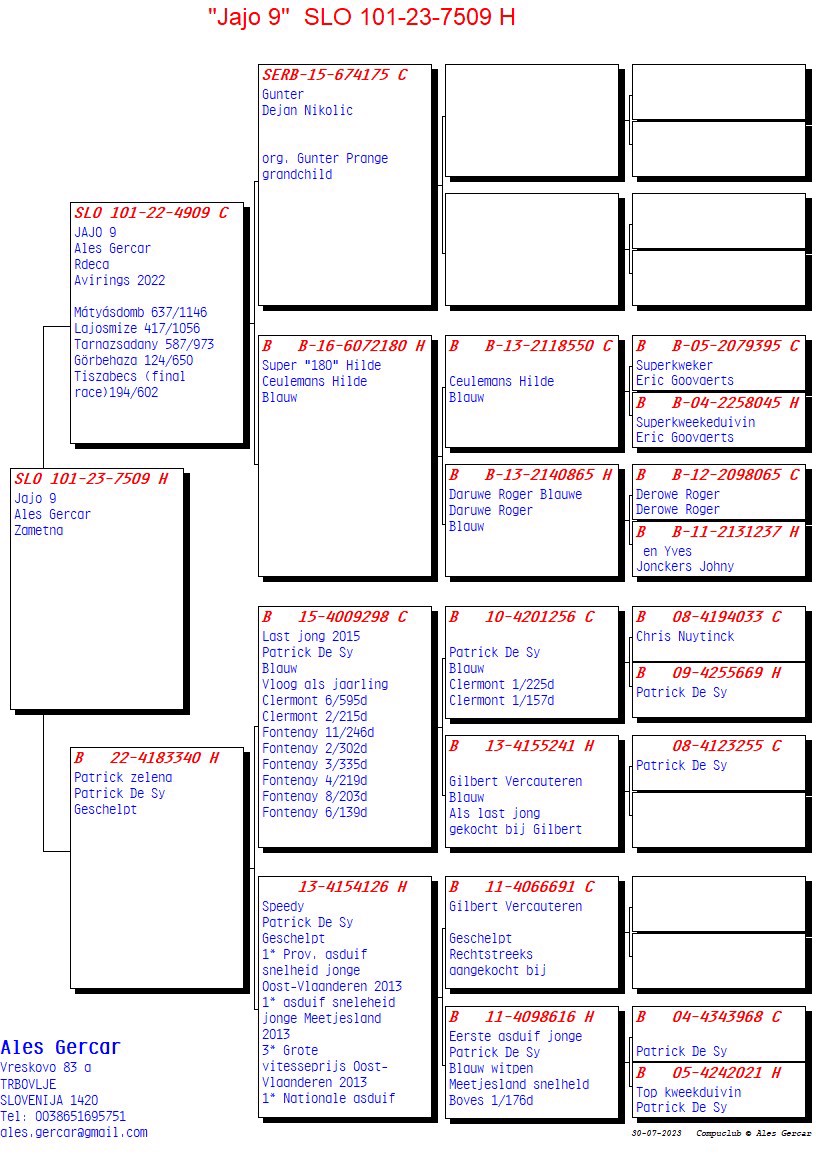 Pigeon pedigree image