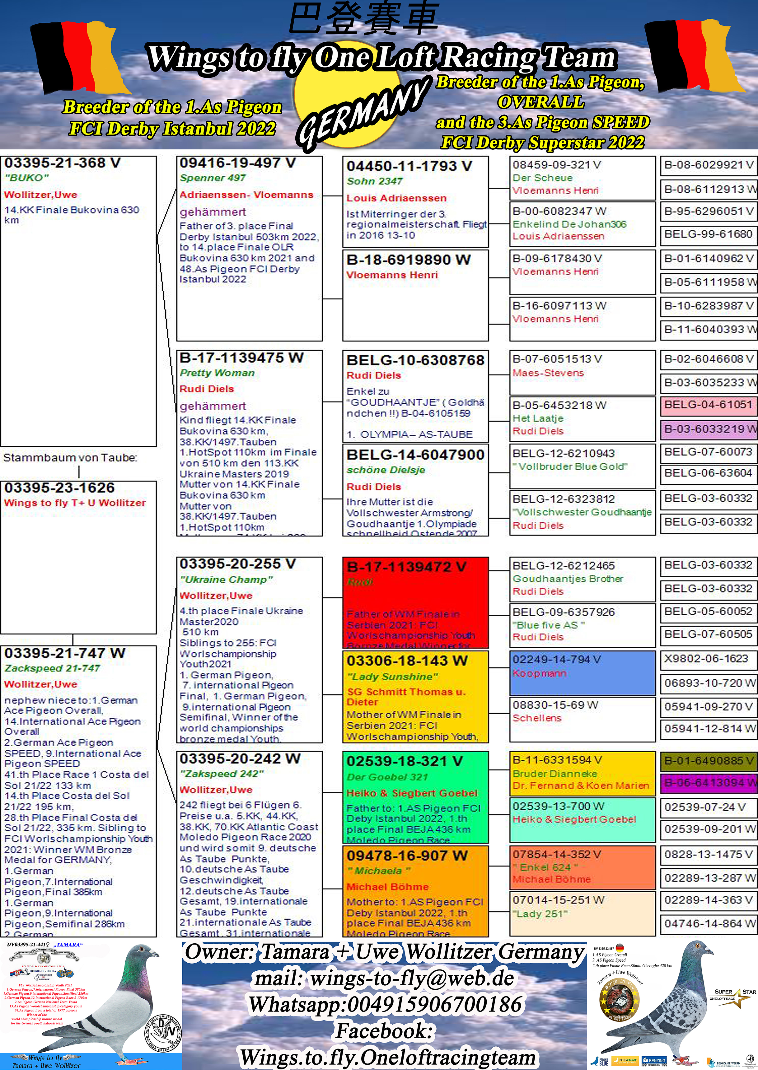 Pigeon pedigree image