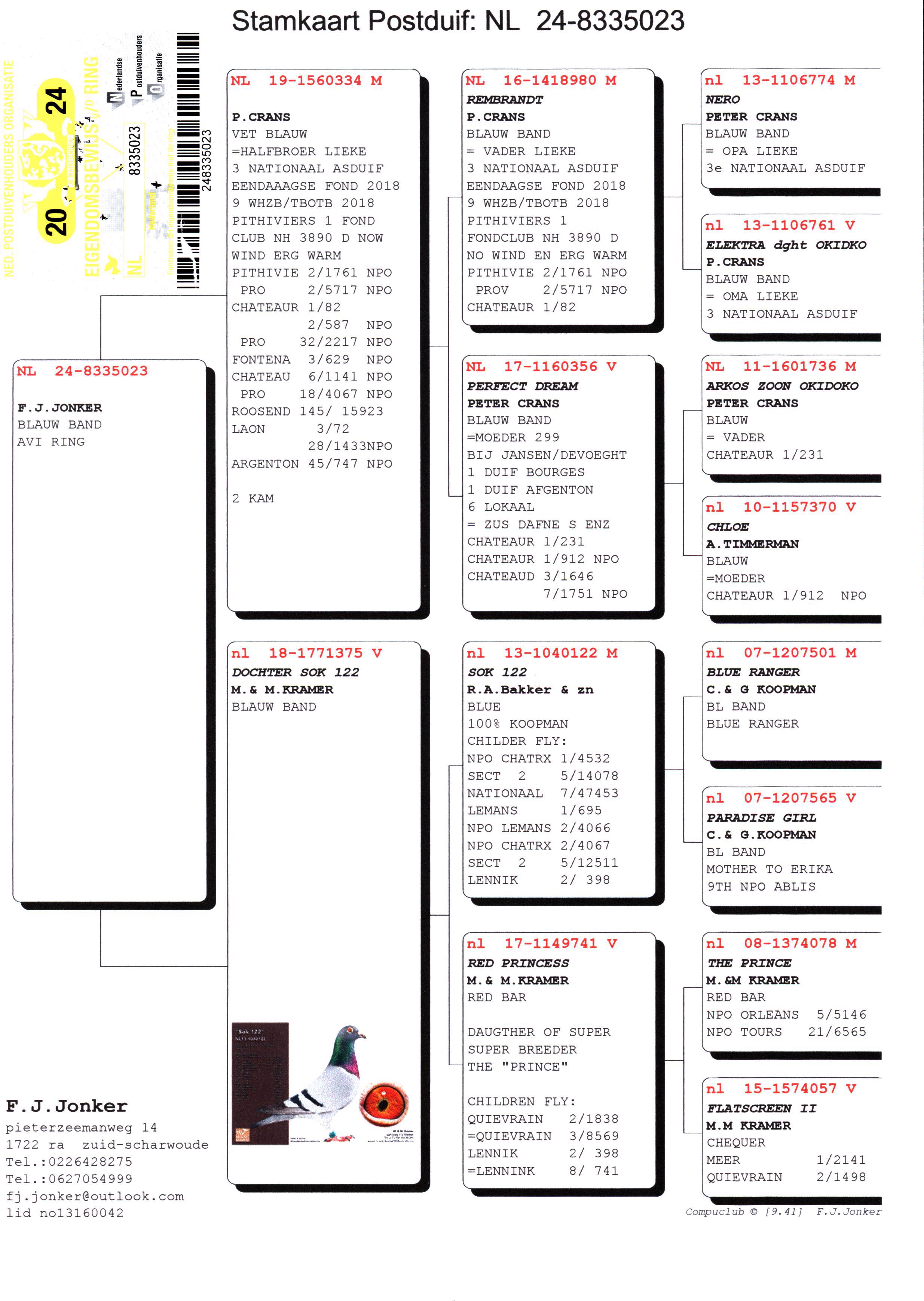Pigeon pedigree image