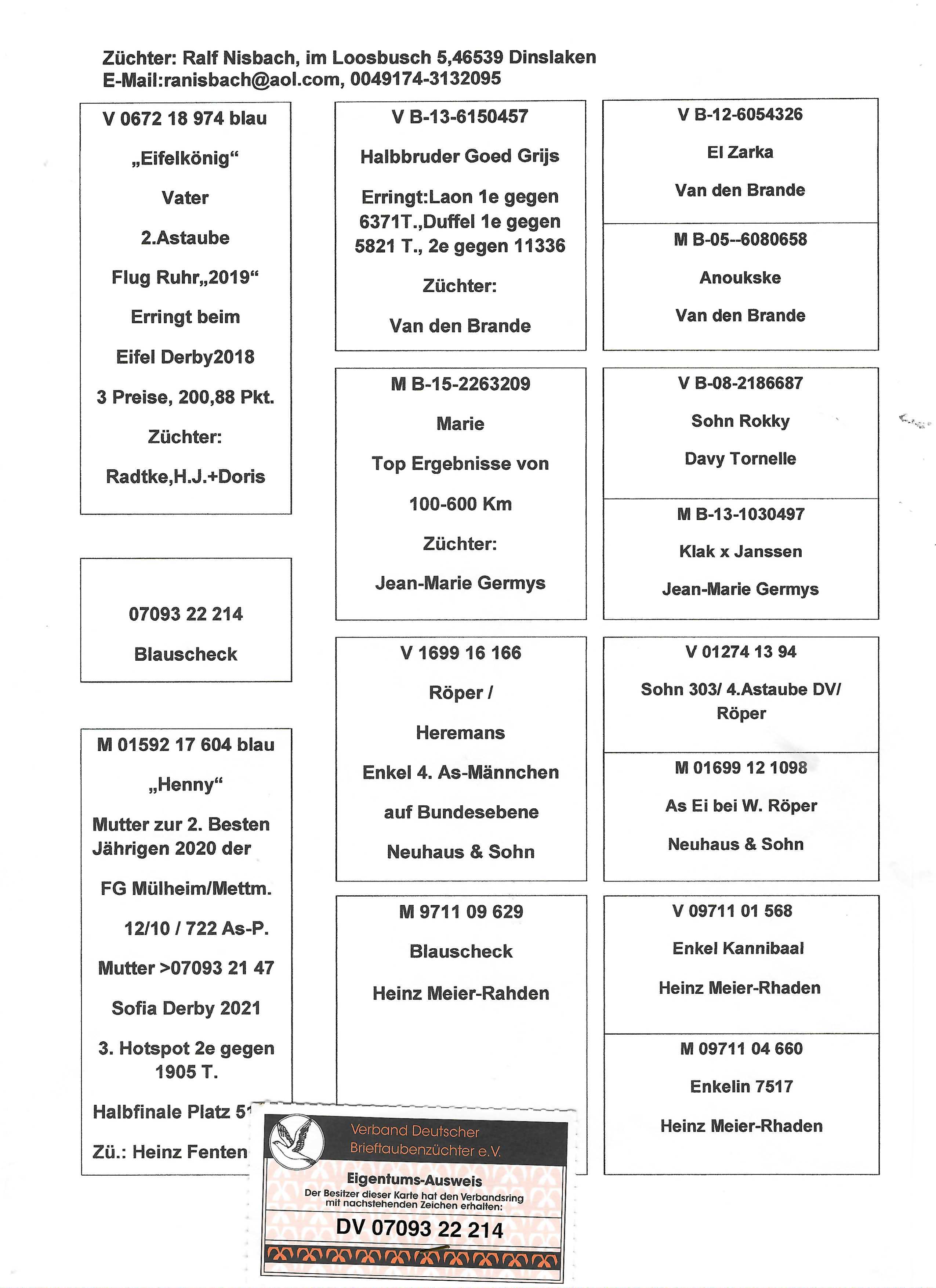 Pigeon pedigree image