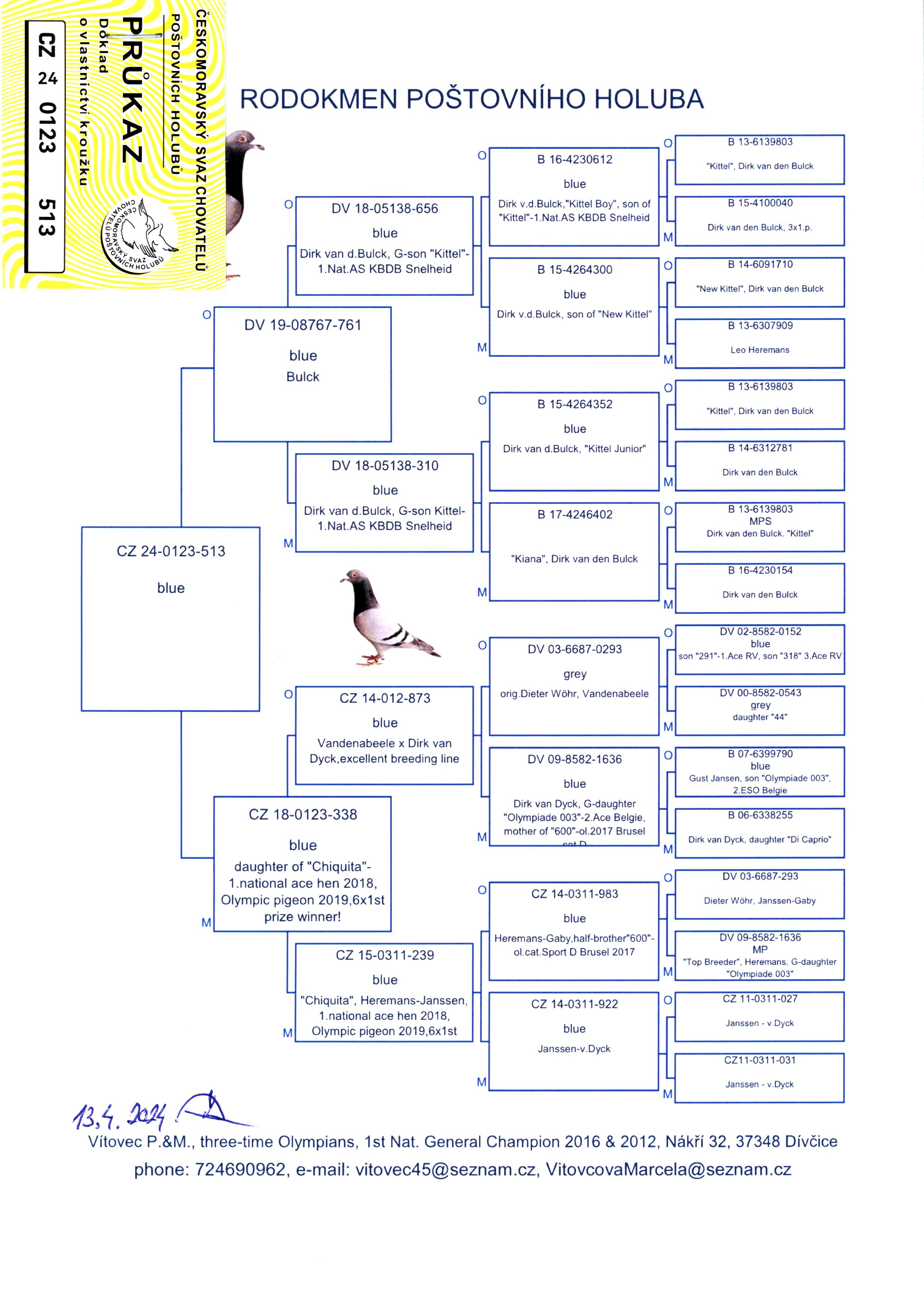 Pigeon pedigree image