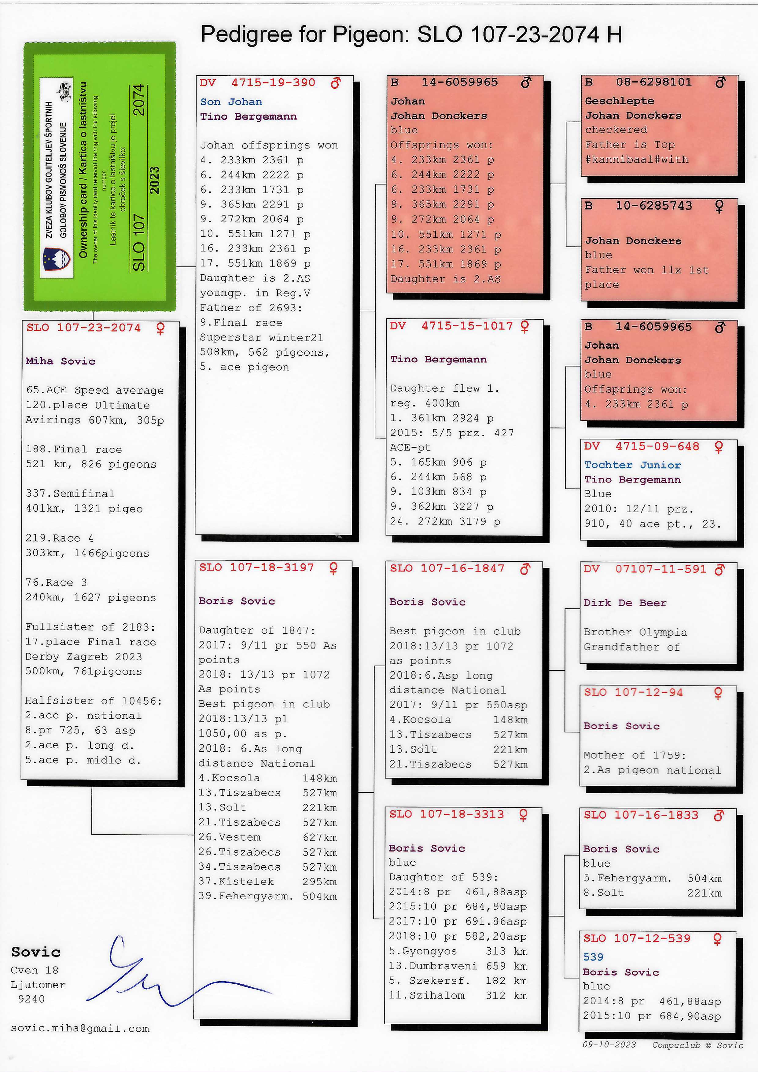 Pigeon pedigree image