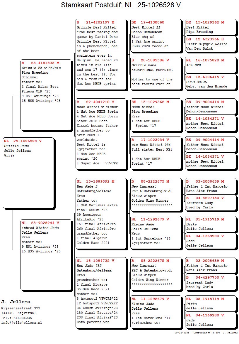 Pigeon pedigree image