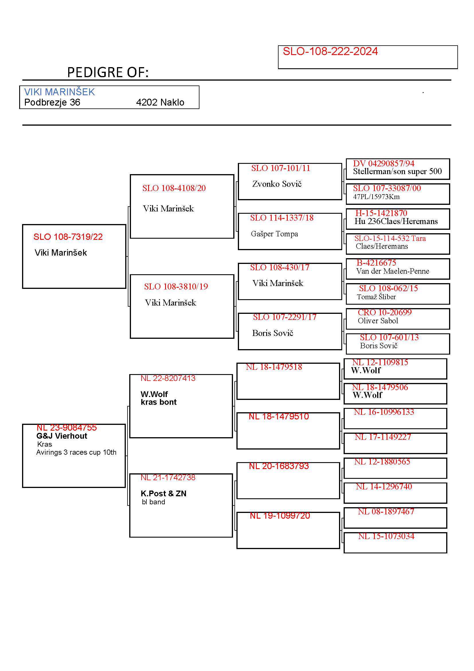 Pigeon pedigree image