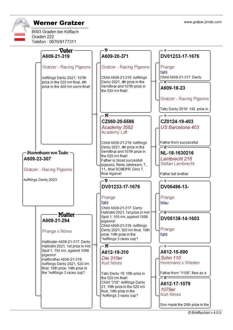 Pigeon pedigree image