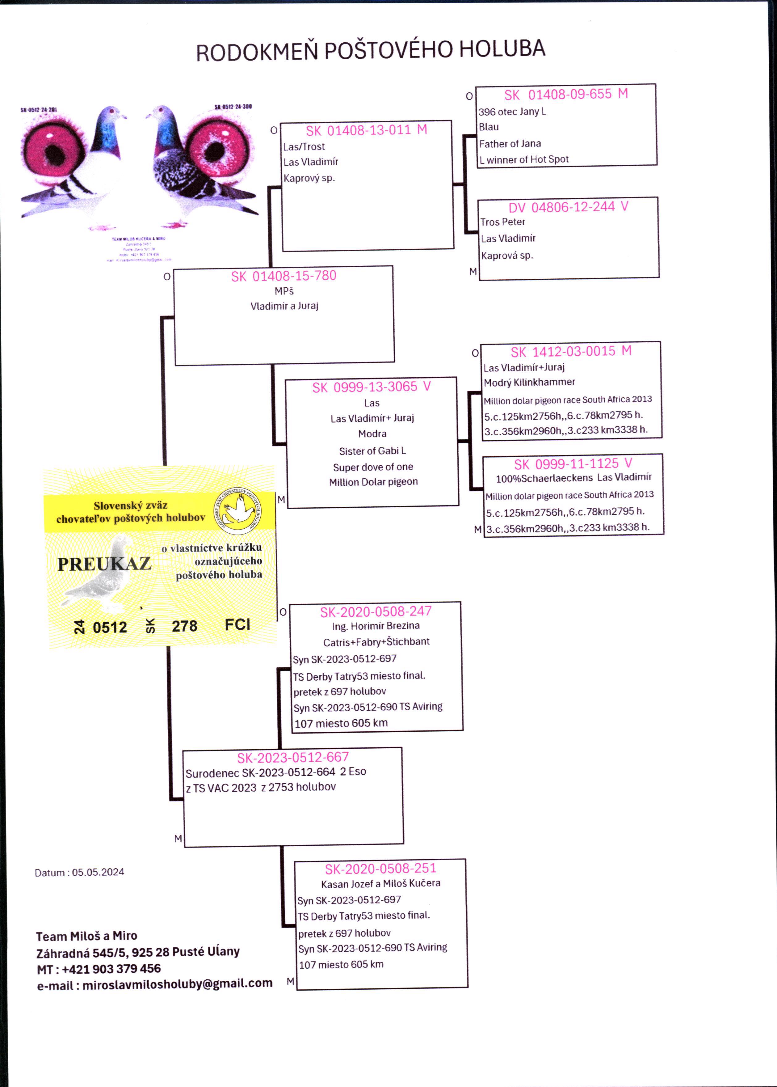 Pigeon pedigree image