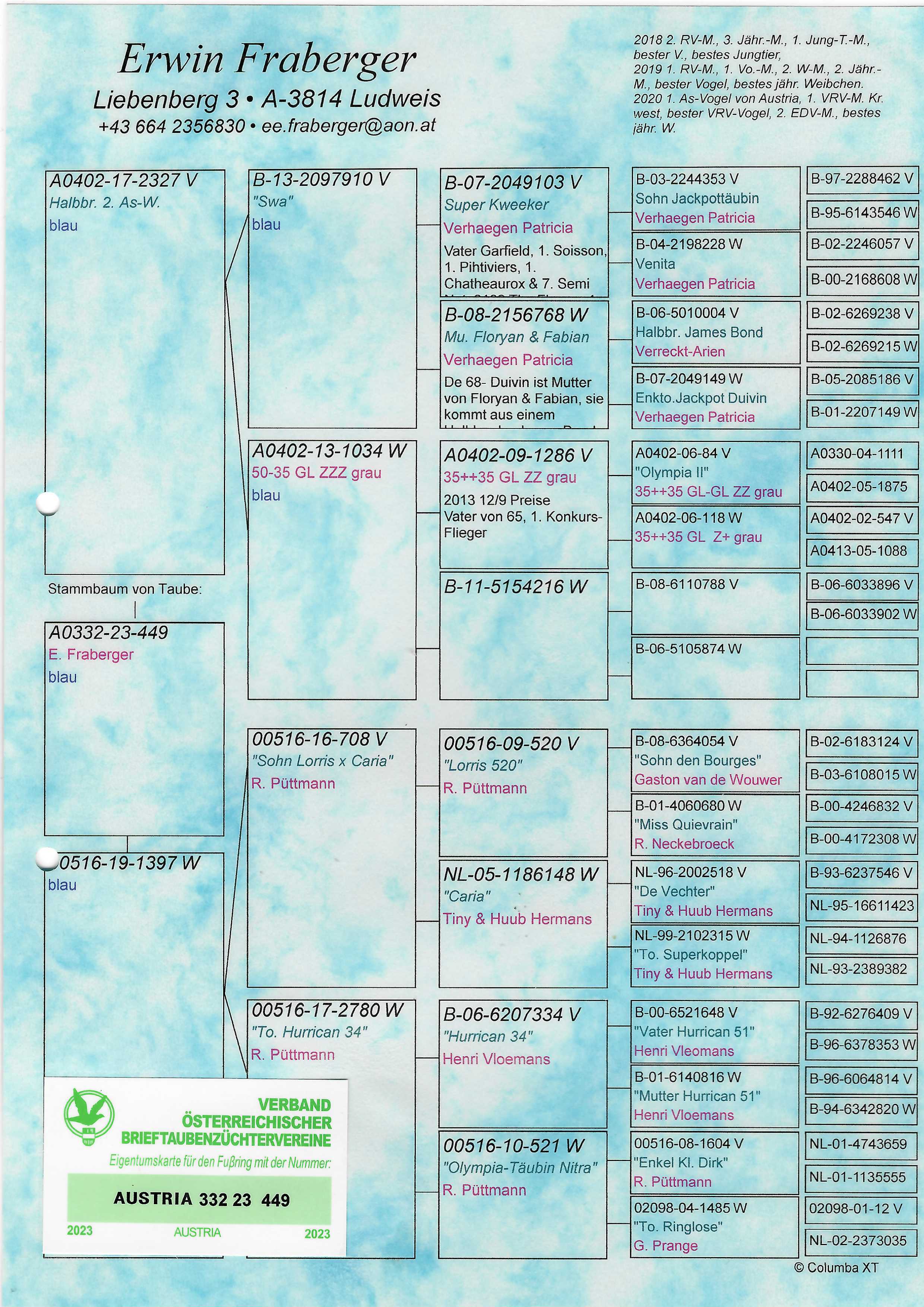 Pigeon pedigree image