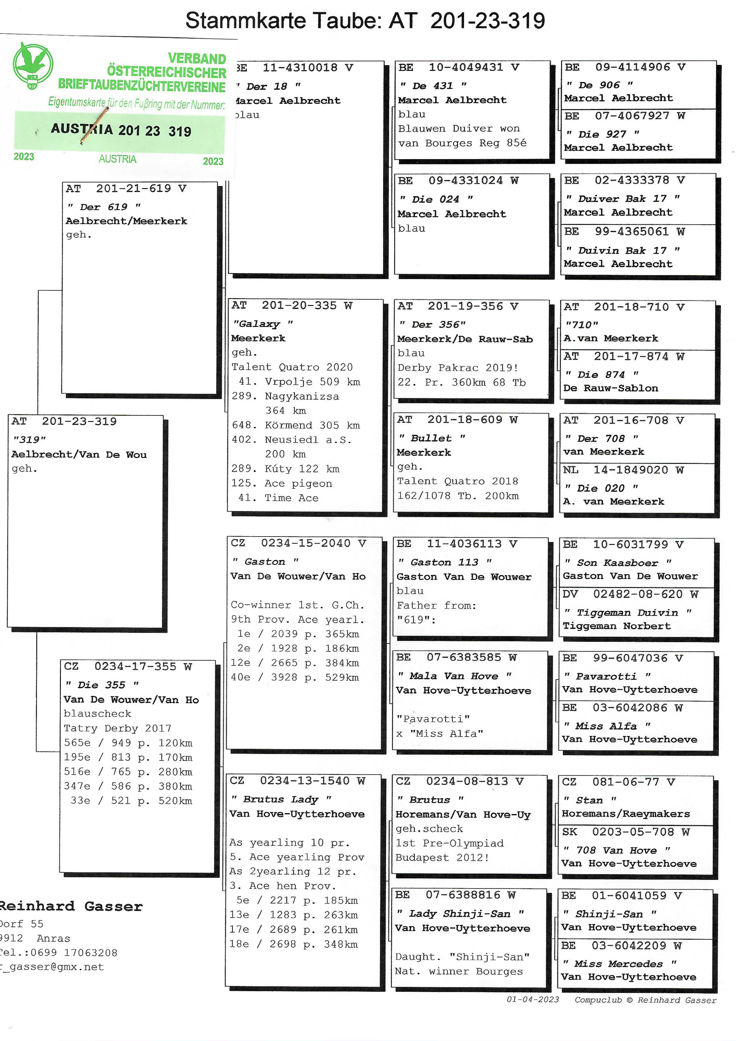 Pigeon pedigree image