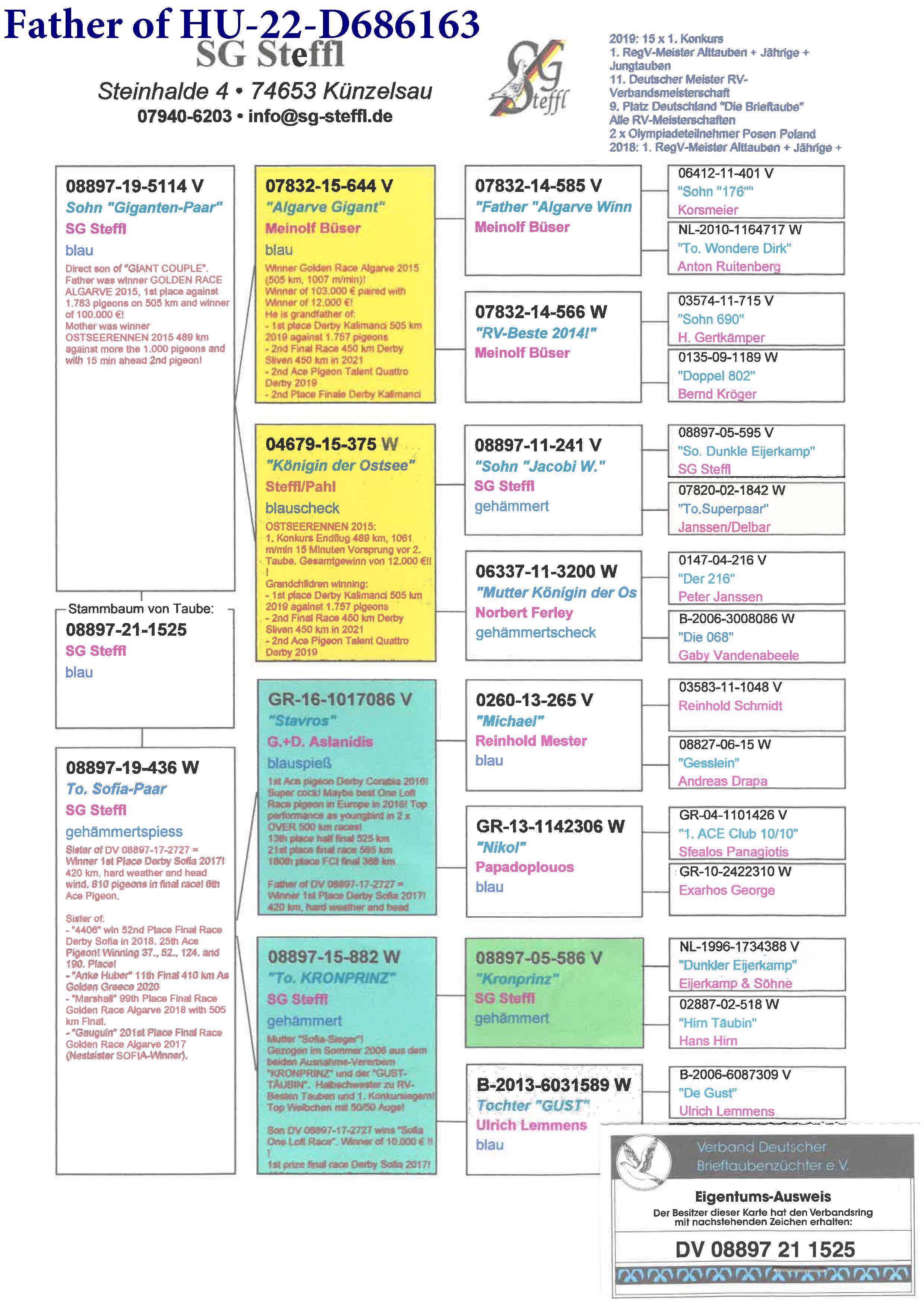 Pigeon pedigree image