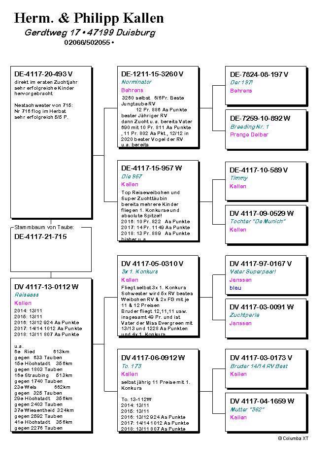 Pigeon pedigree image