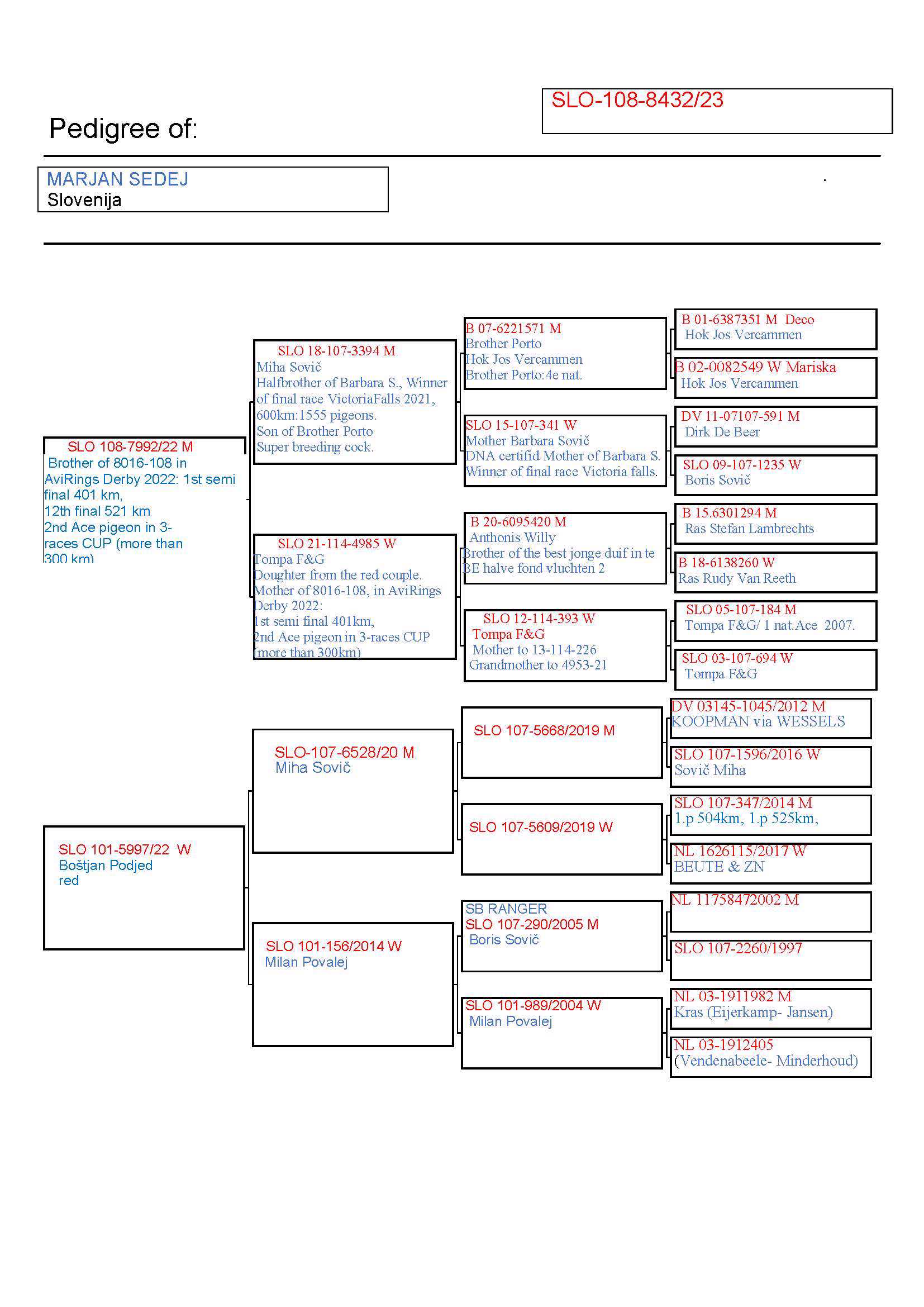 Pigeon pedigree image