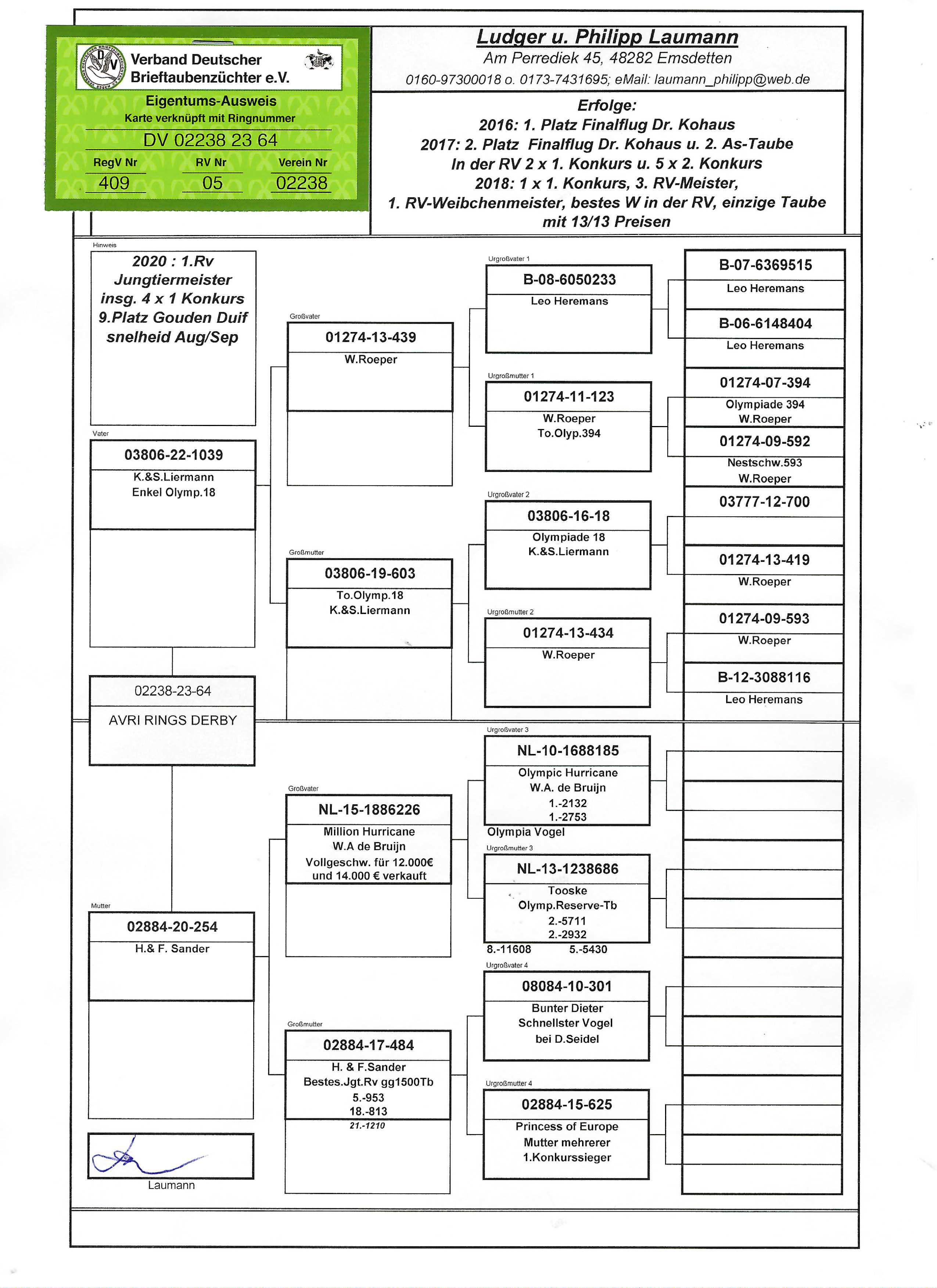 Pigeon pedigree image