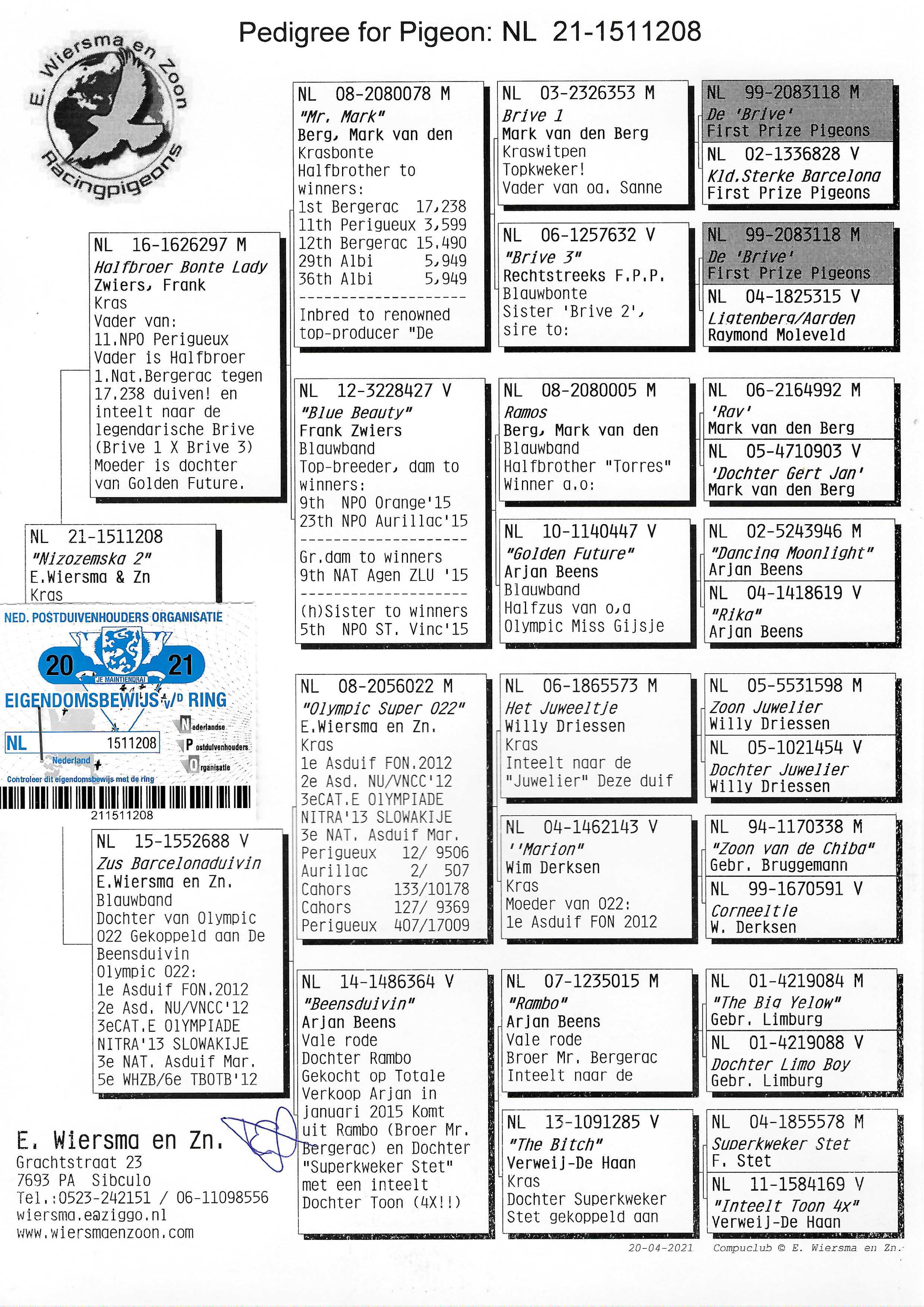 Pigeon pedigree image