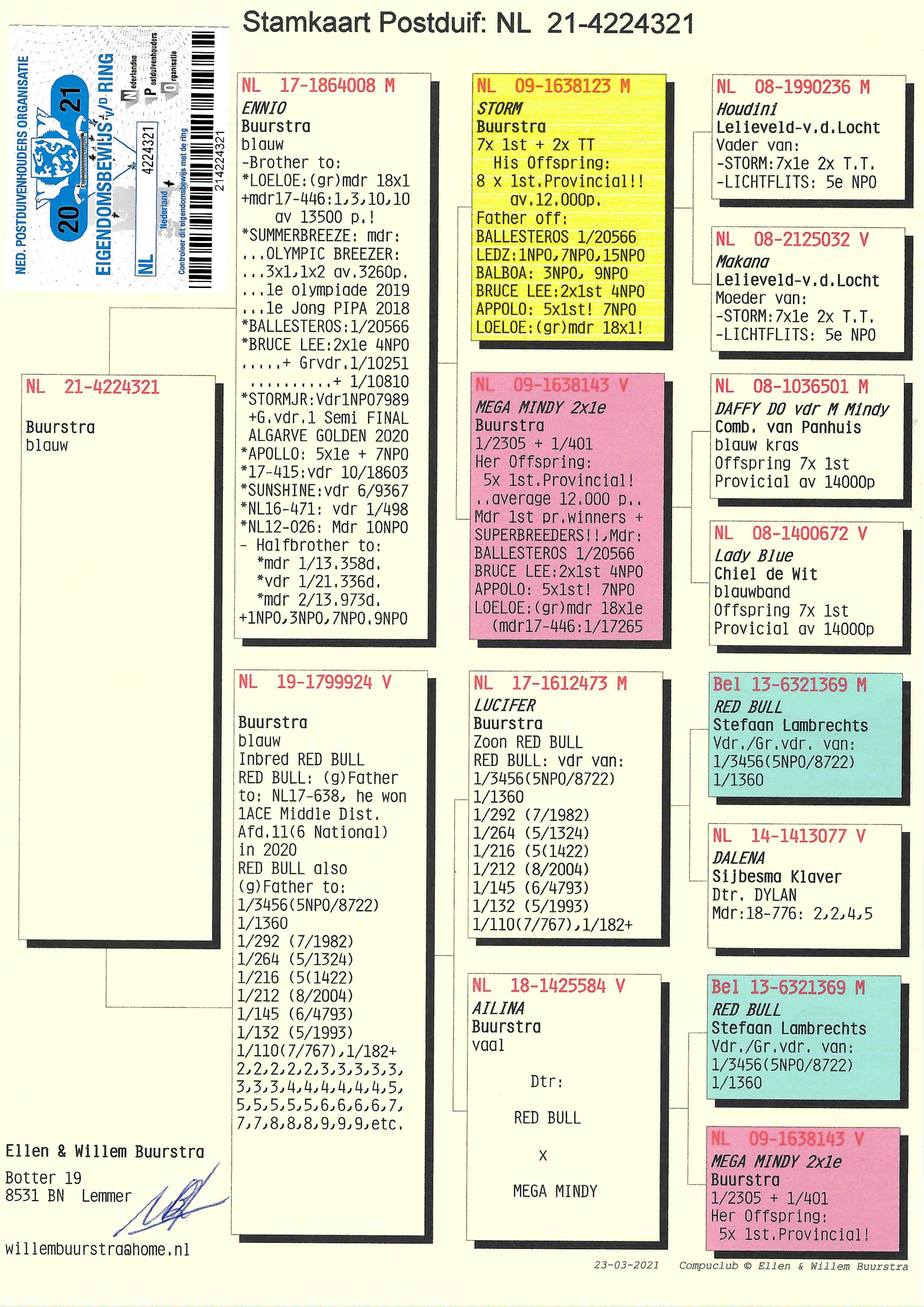 Pigeon pedigree image