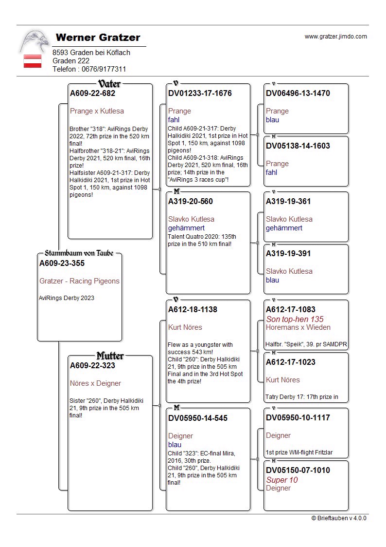 Pigeon pedigree image