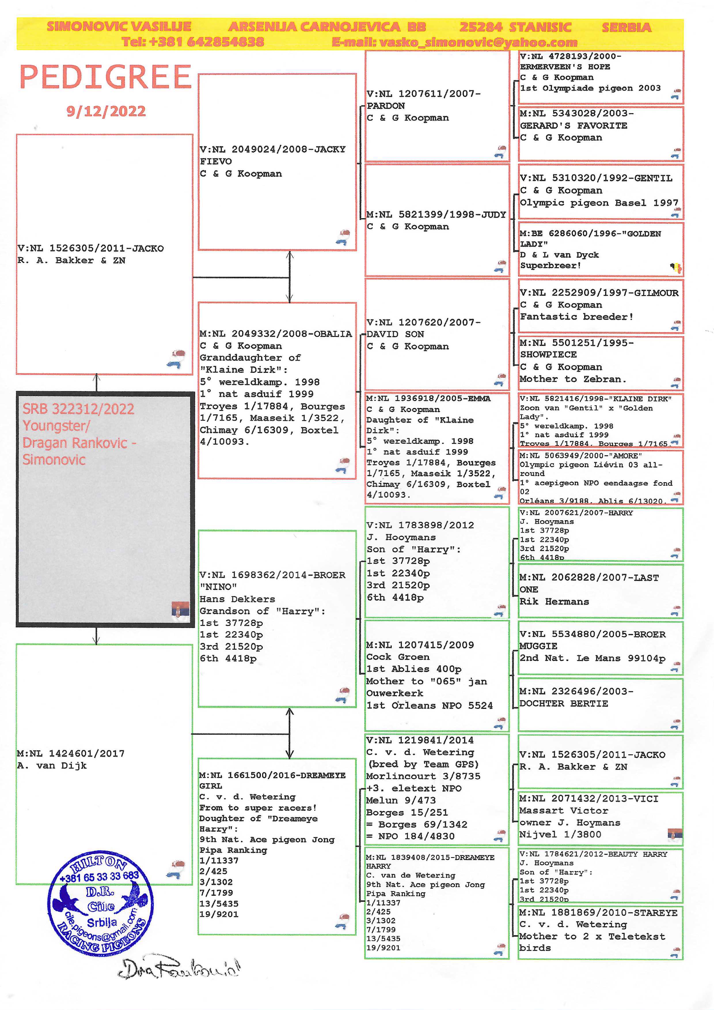 Pigeon pedigree image