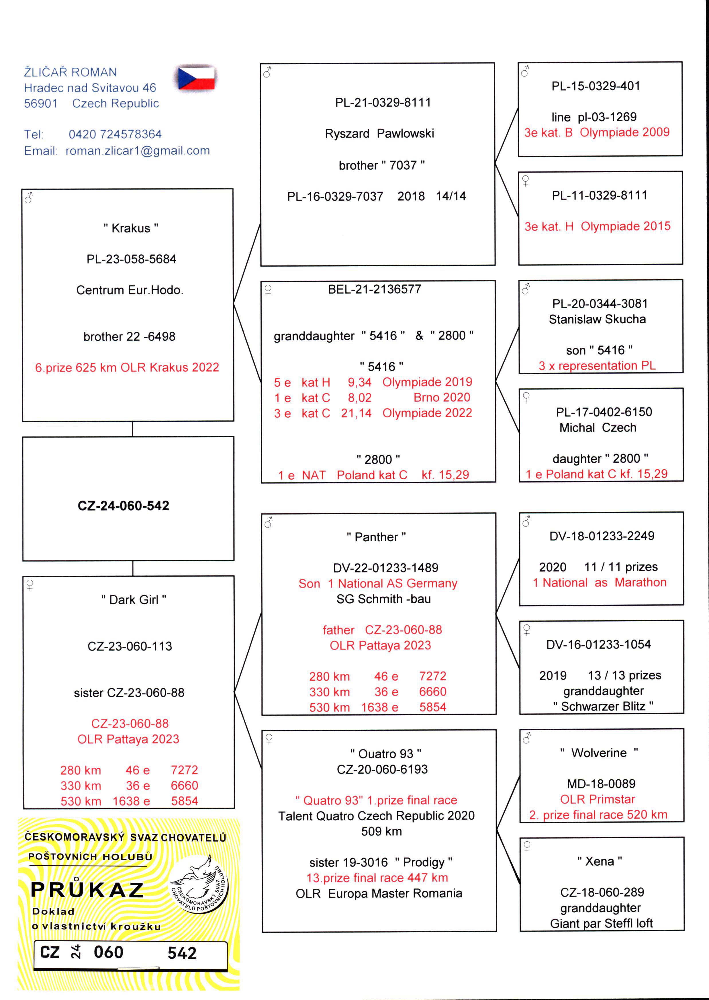 Pigeon pedigree image