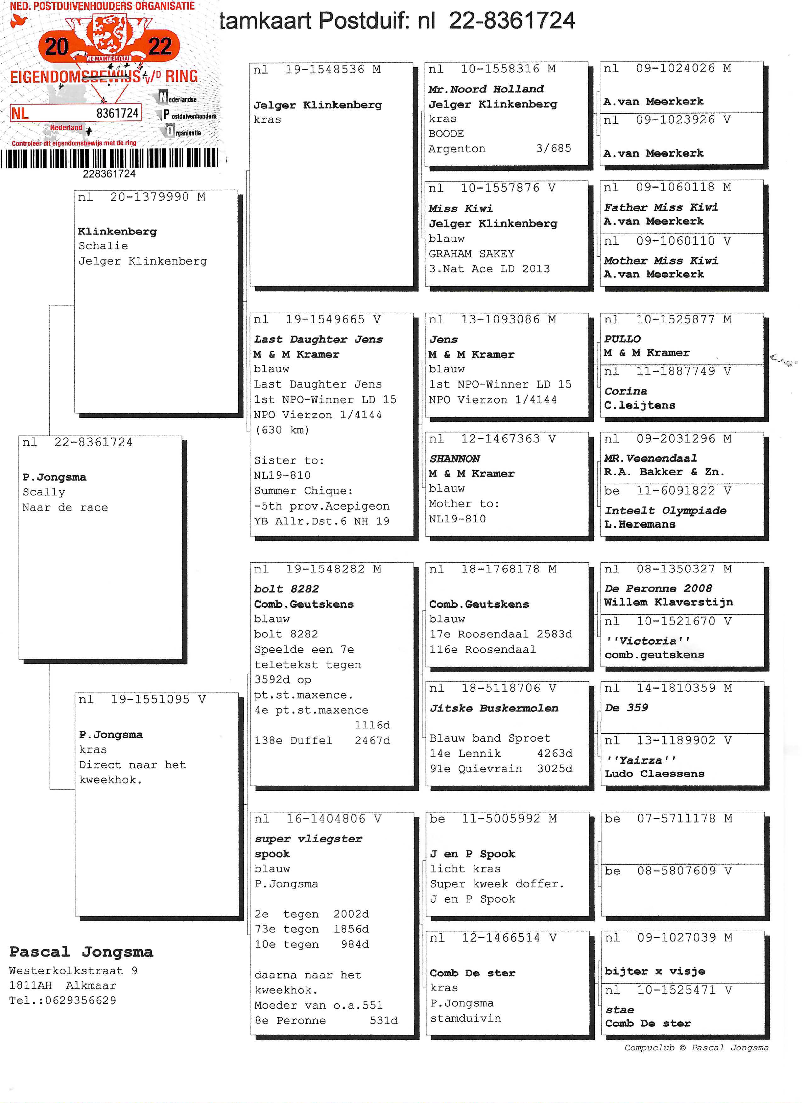 Pigeon pedigree image