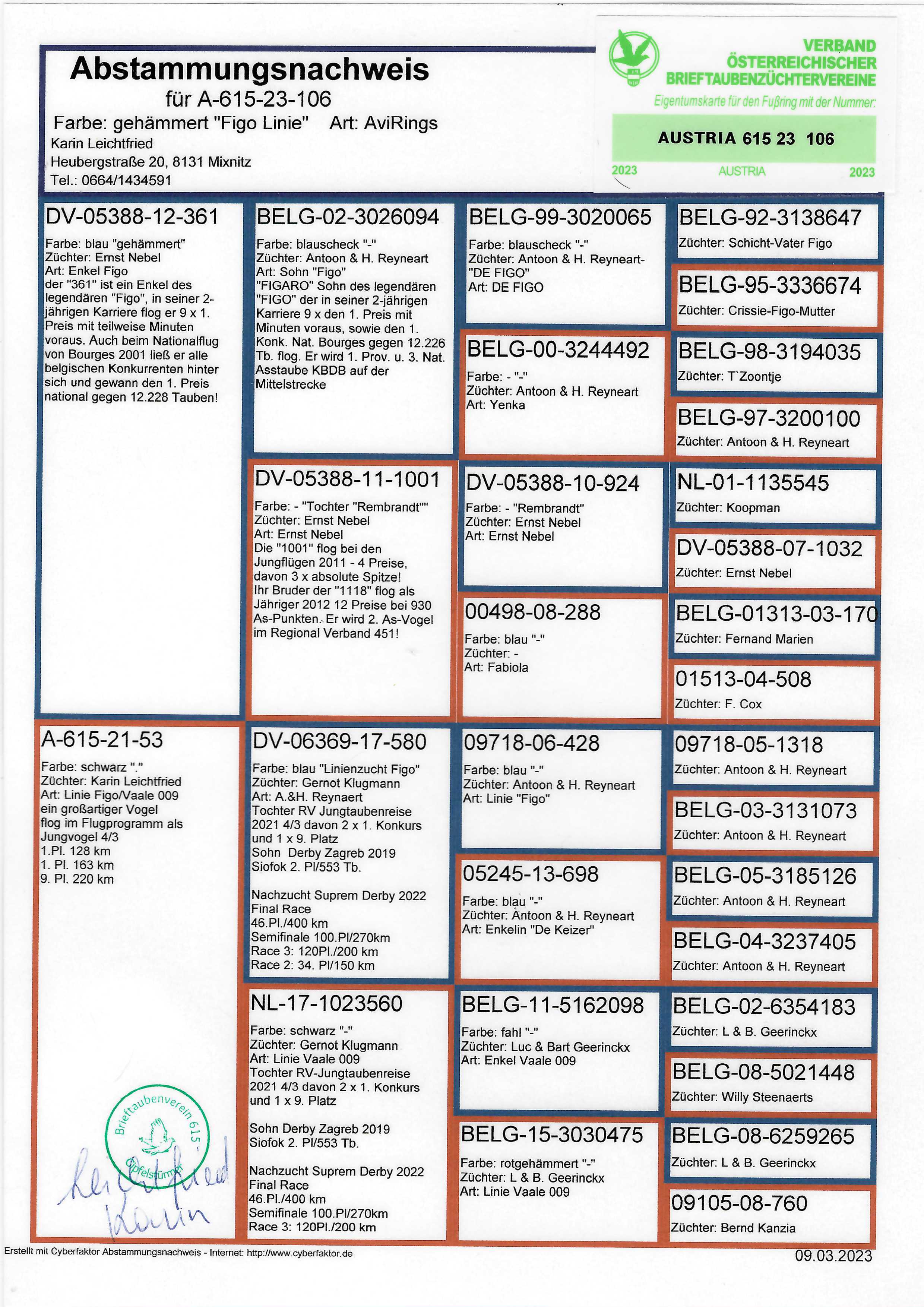 Pigeon pedigree image