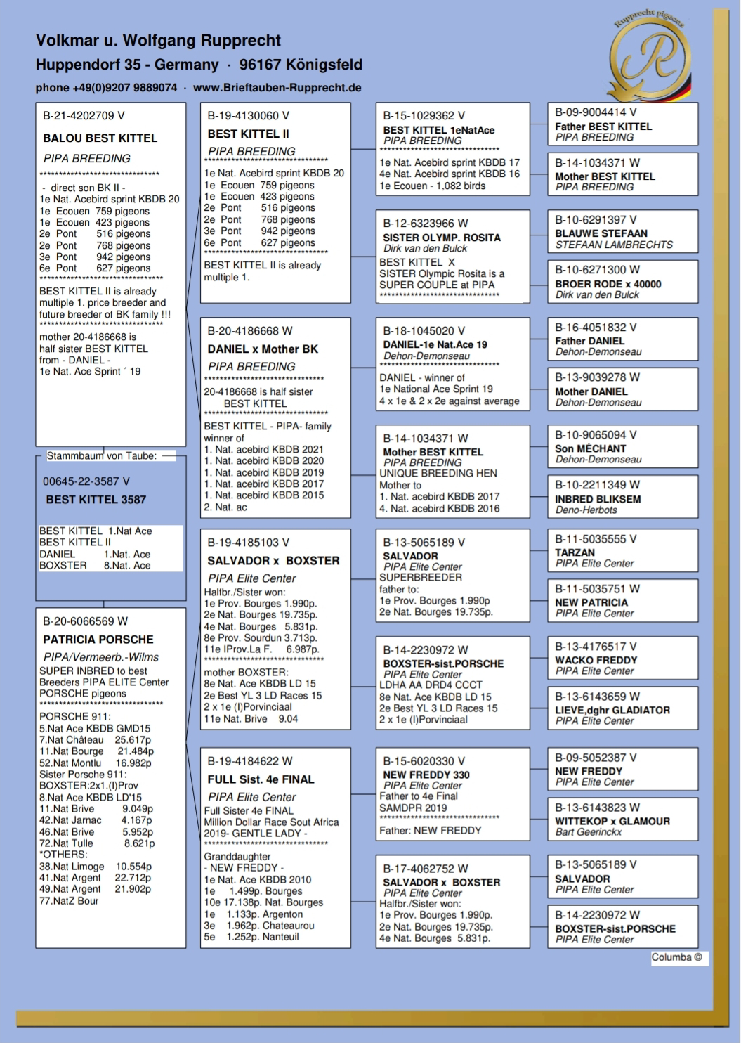 Pigeon pedigree image
