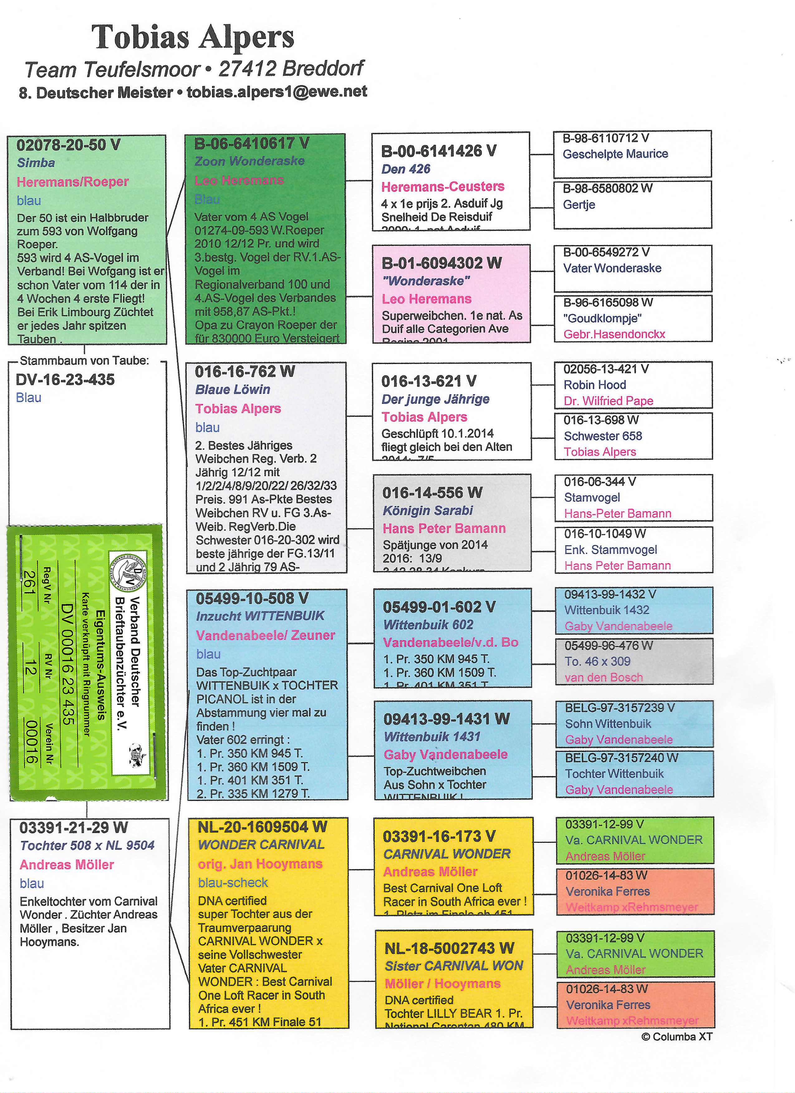 Pigeon pedigree image
