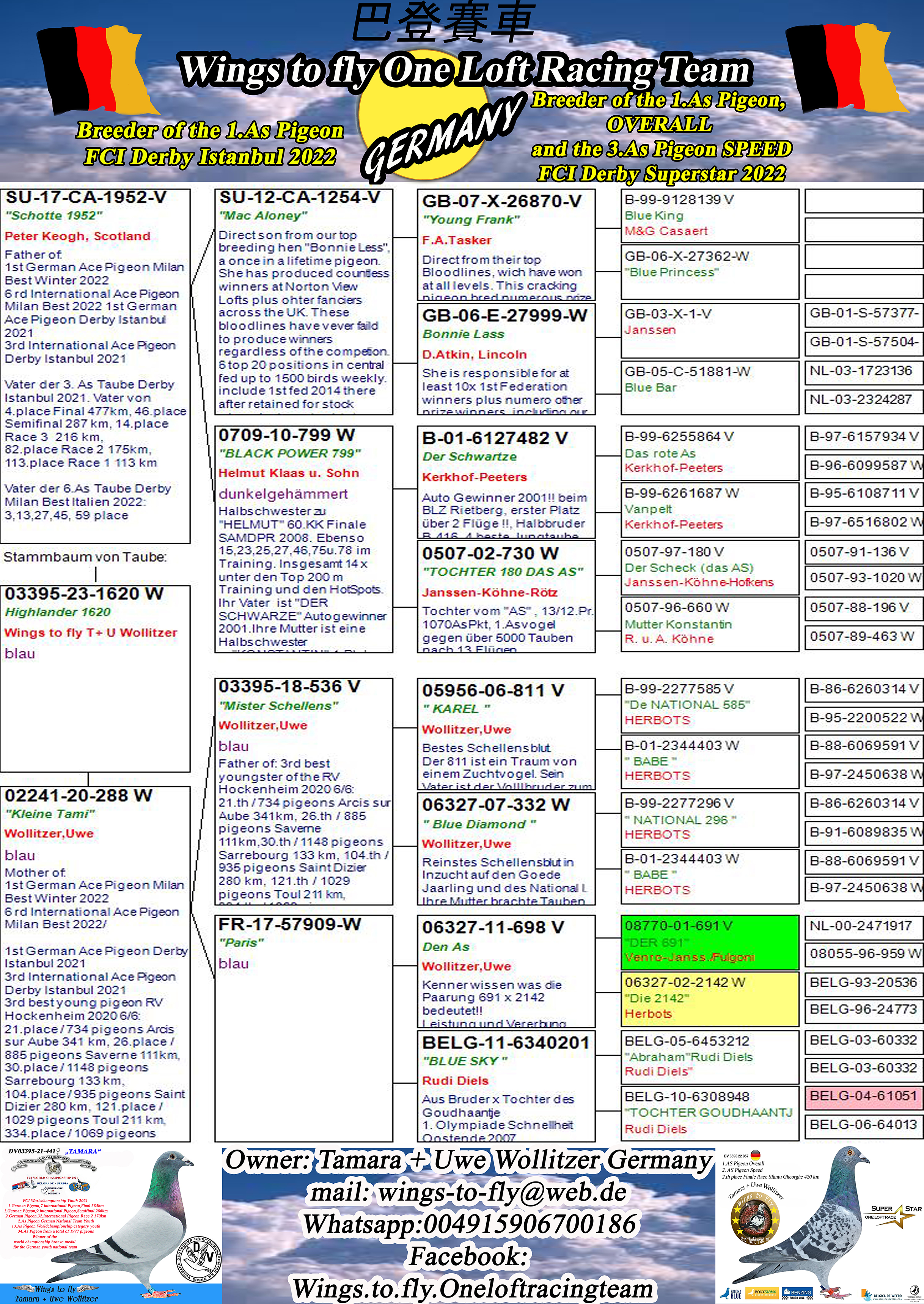 Pigeon pedigree image