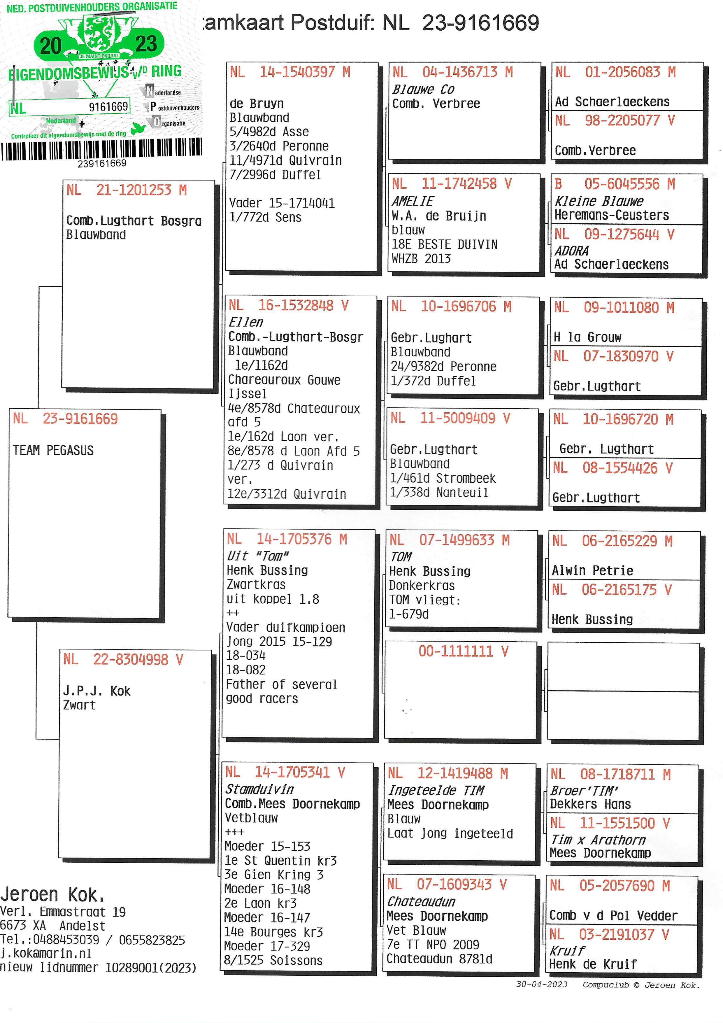 Pigeon pedigree image