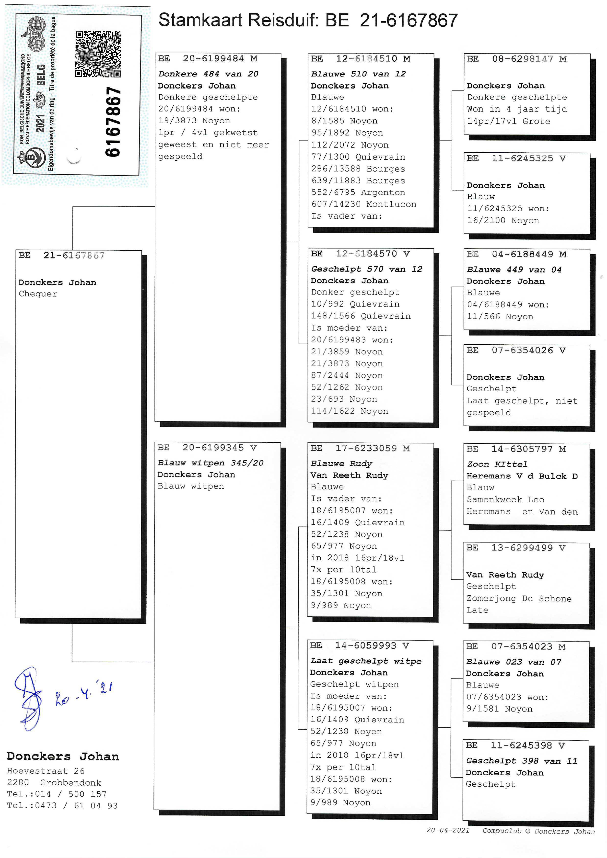 Pigeon pedigree image