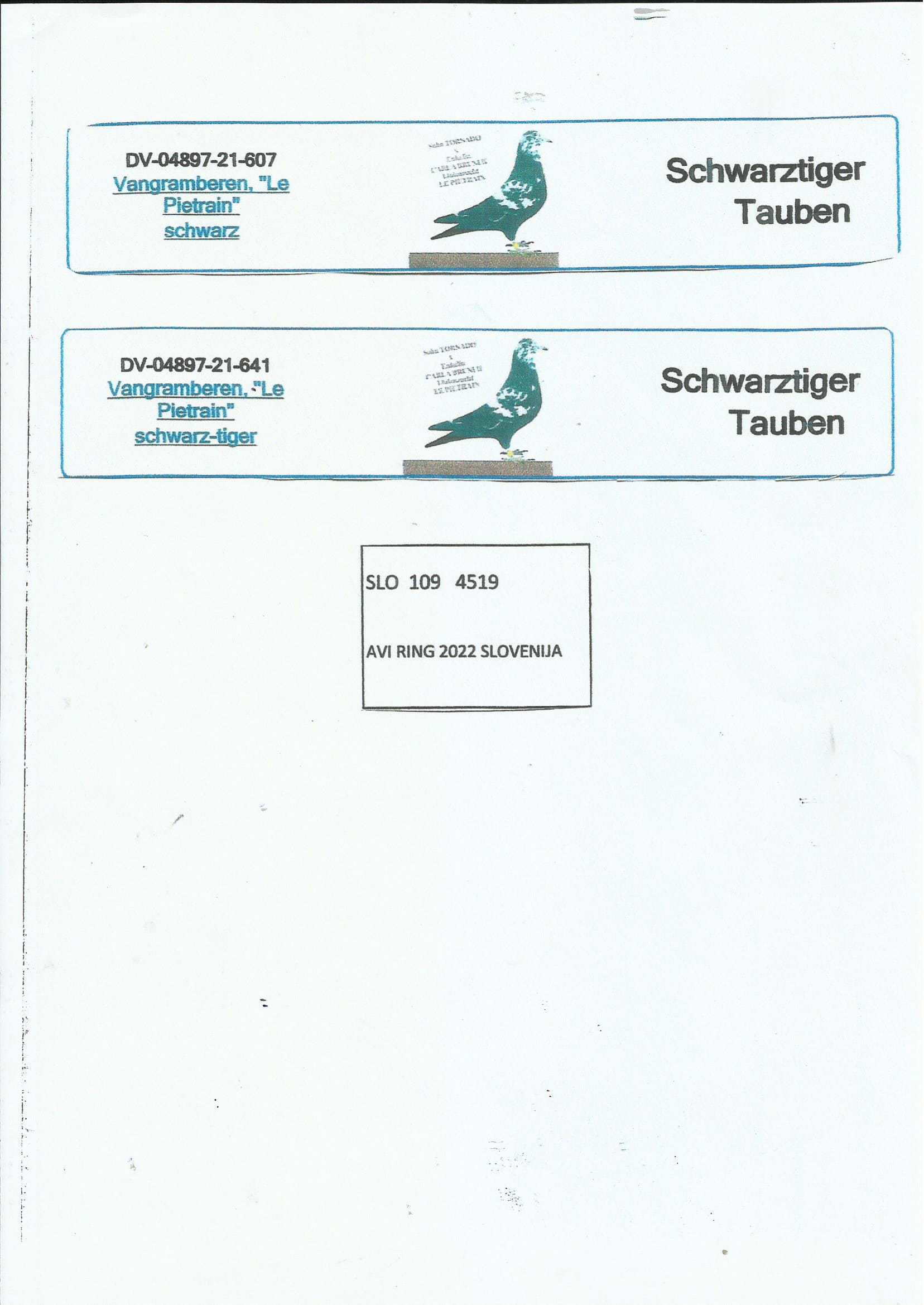 Pigeon pedigree image
