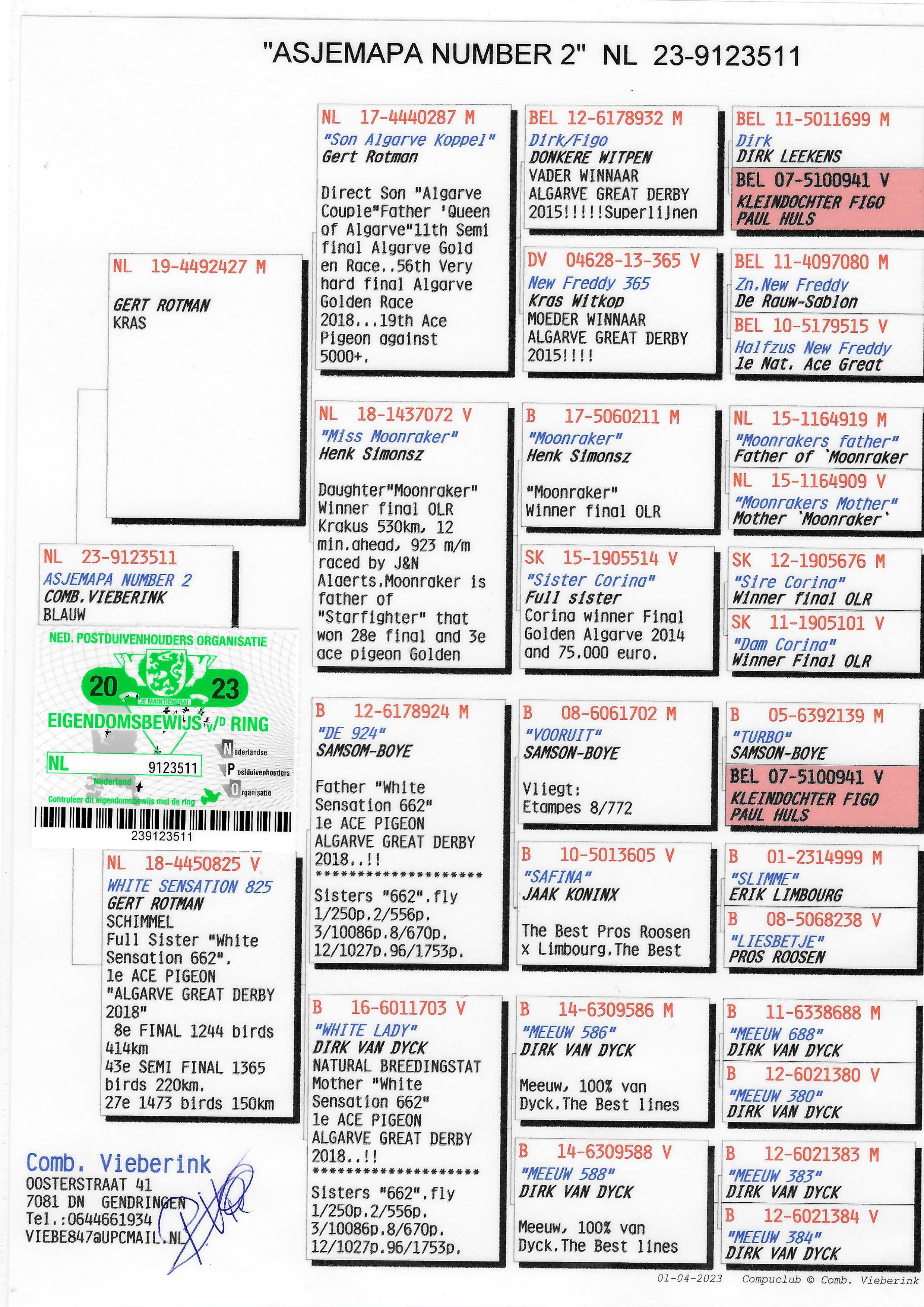 Pigeon pedigree image