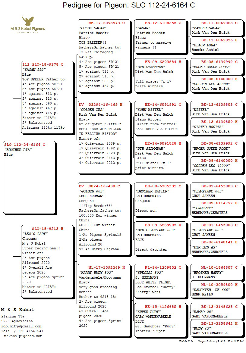 Pigeon pedigree image