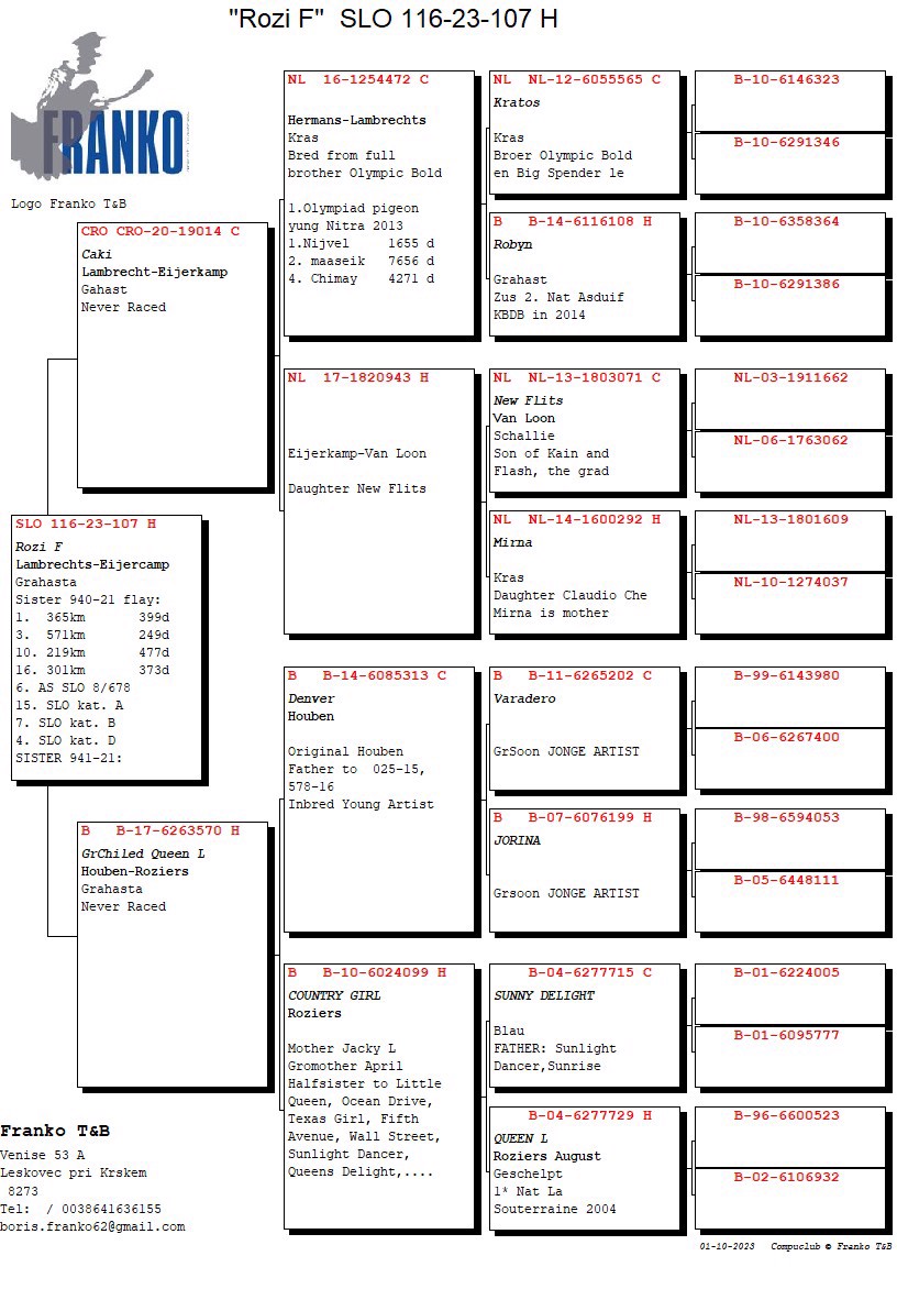 Pigeon pedigree image