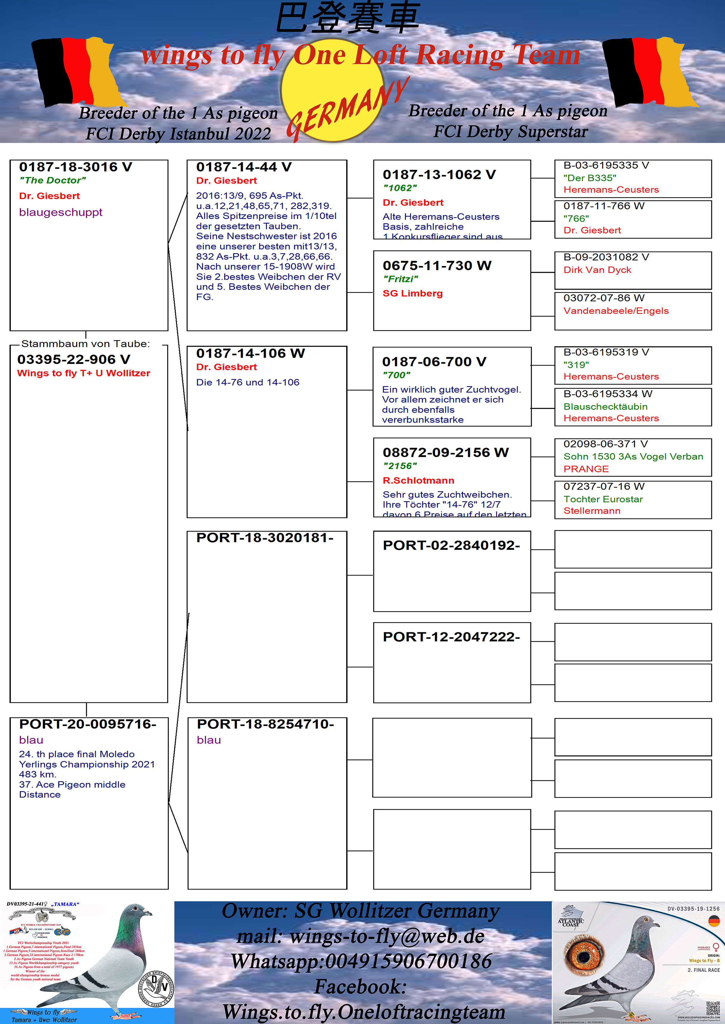 Pigeon pedigree image