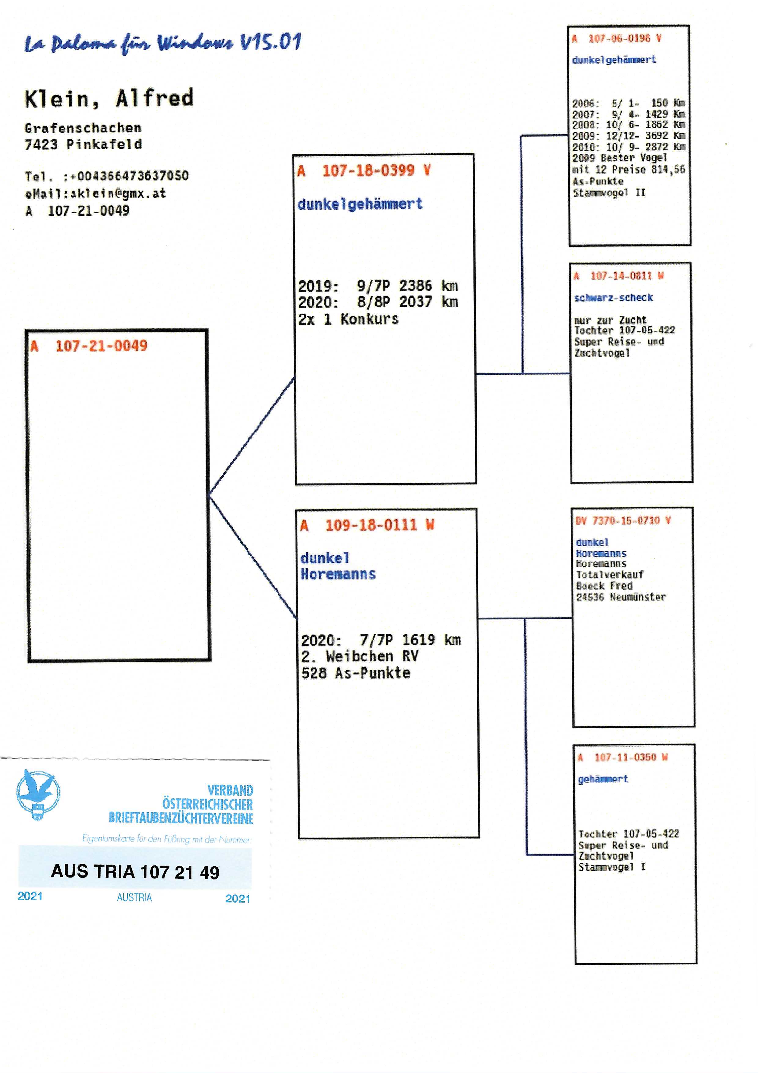 Pigeon pedigree image