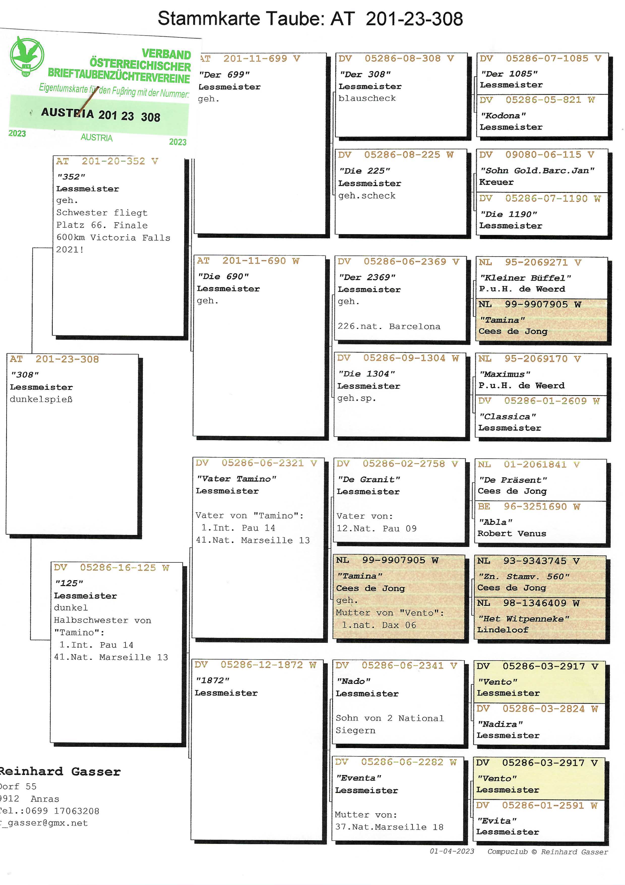 Pigeon pedigree image