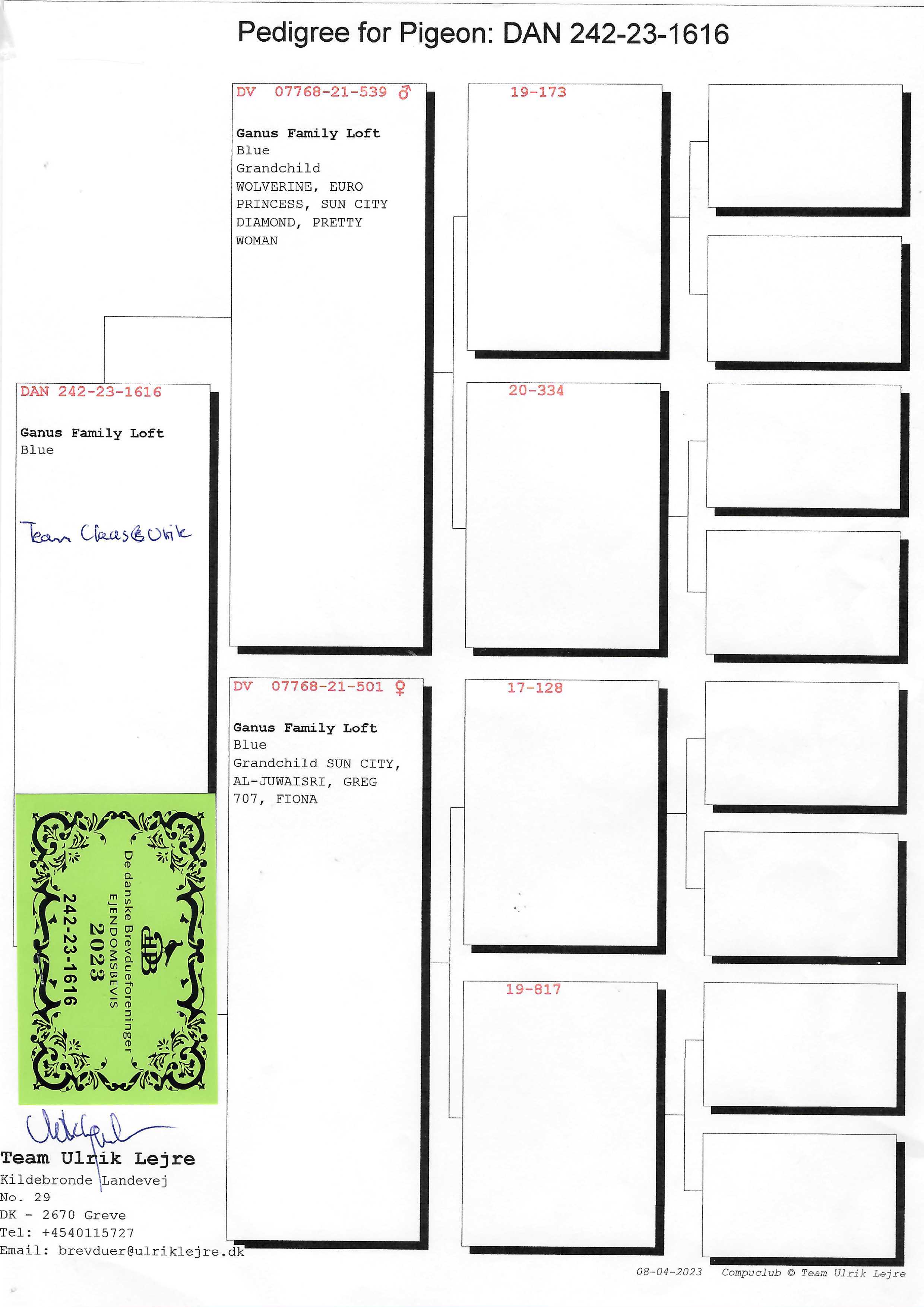 Pigeon pedigree image