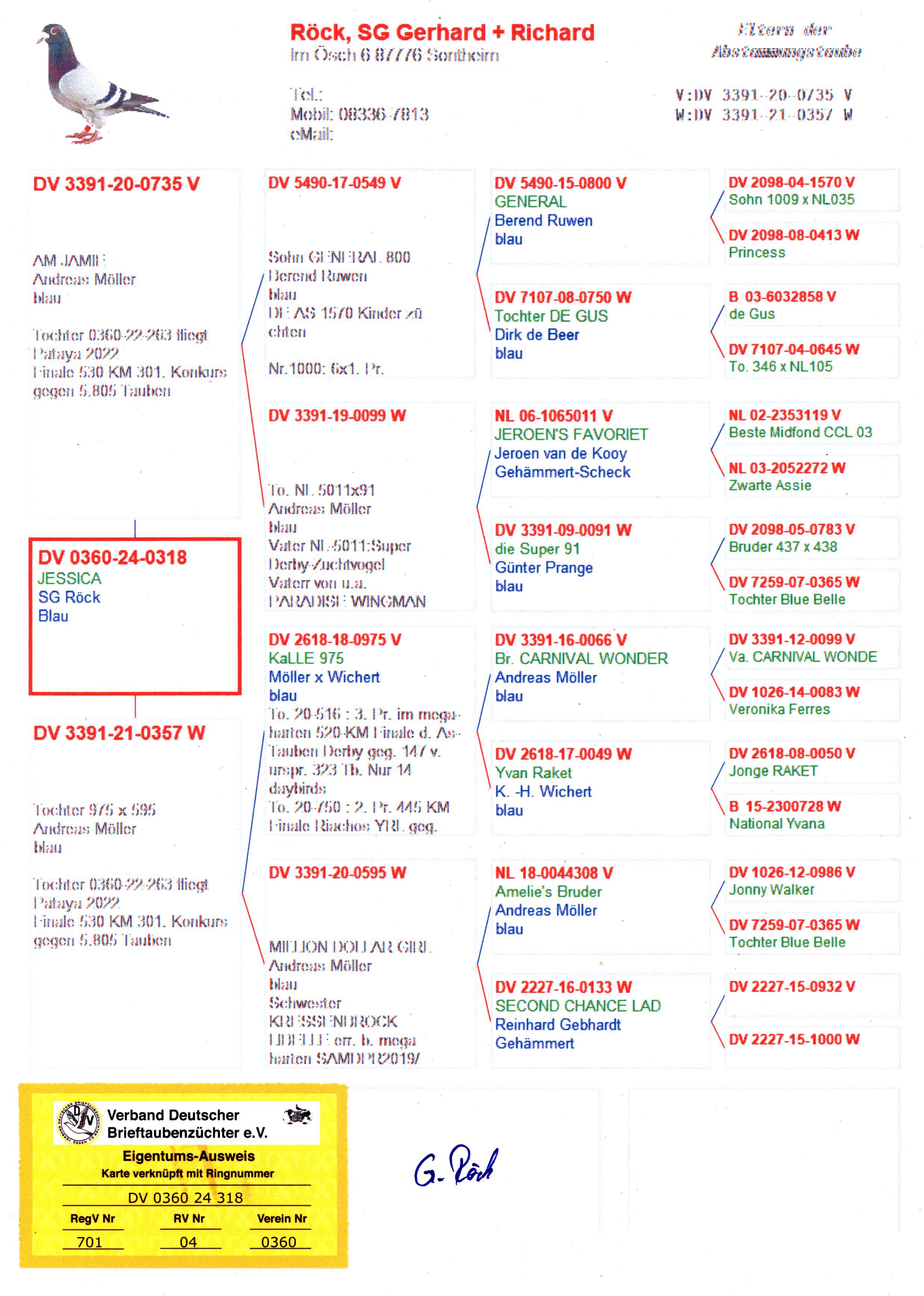 Pigeon pedigree image