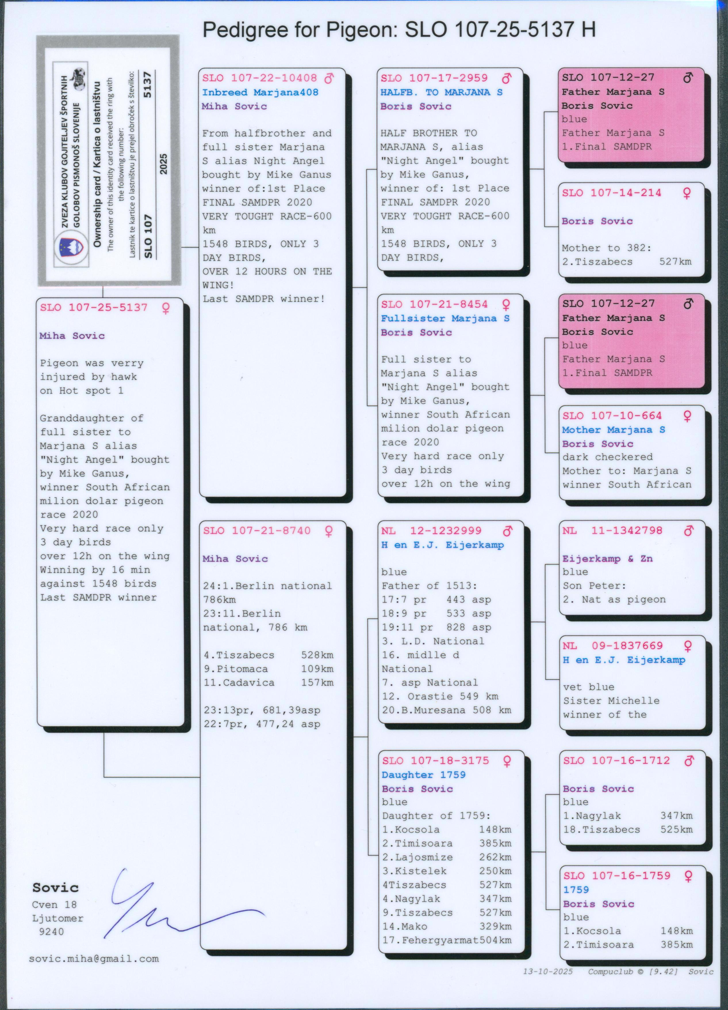 Pigeon pedigree image